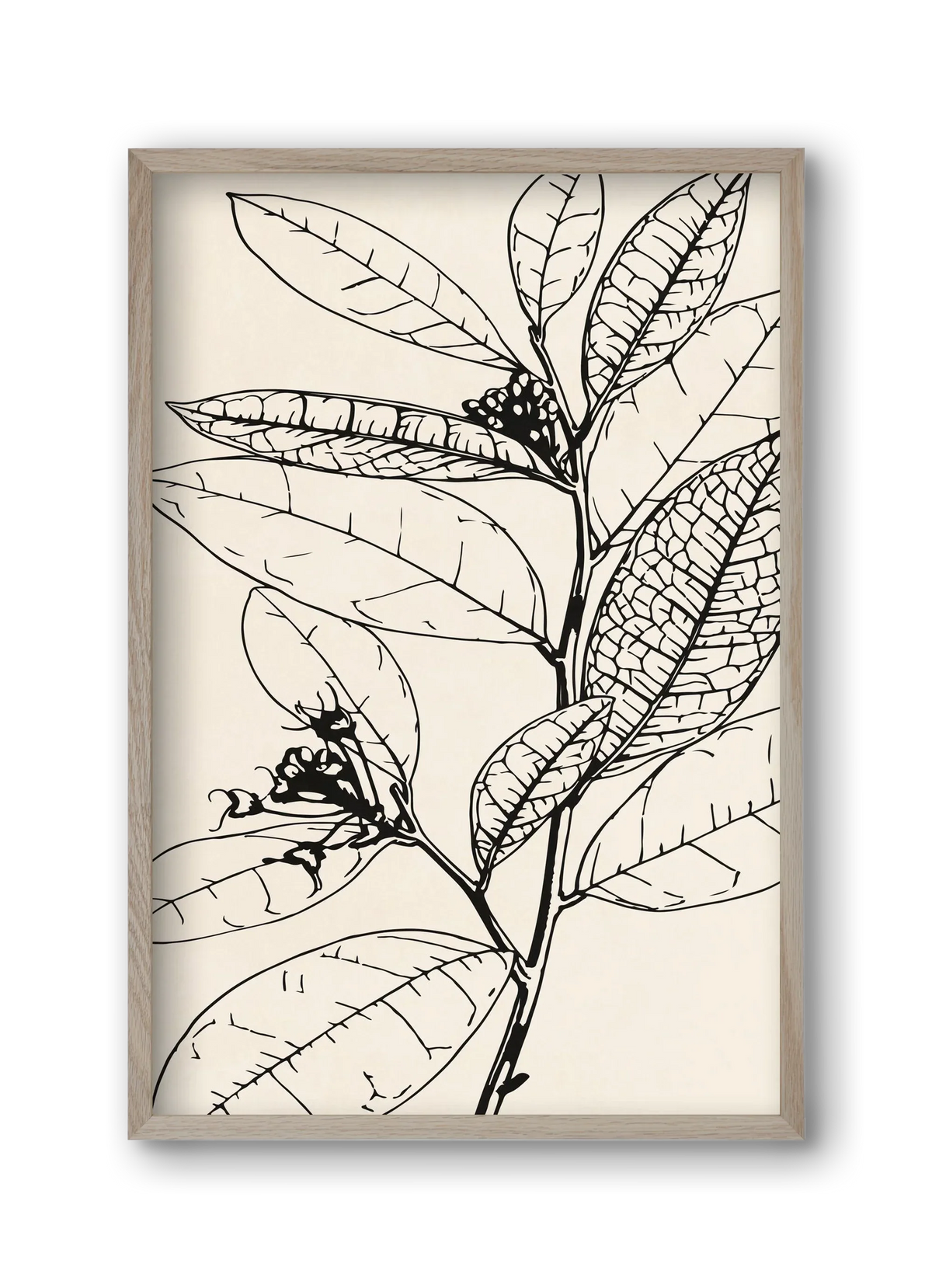 MINIMAL PLANT 02 - artbridge