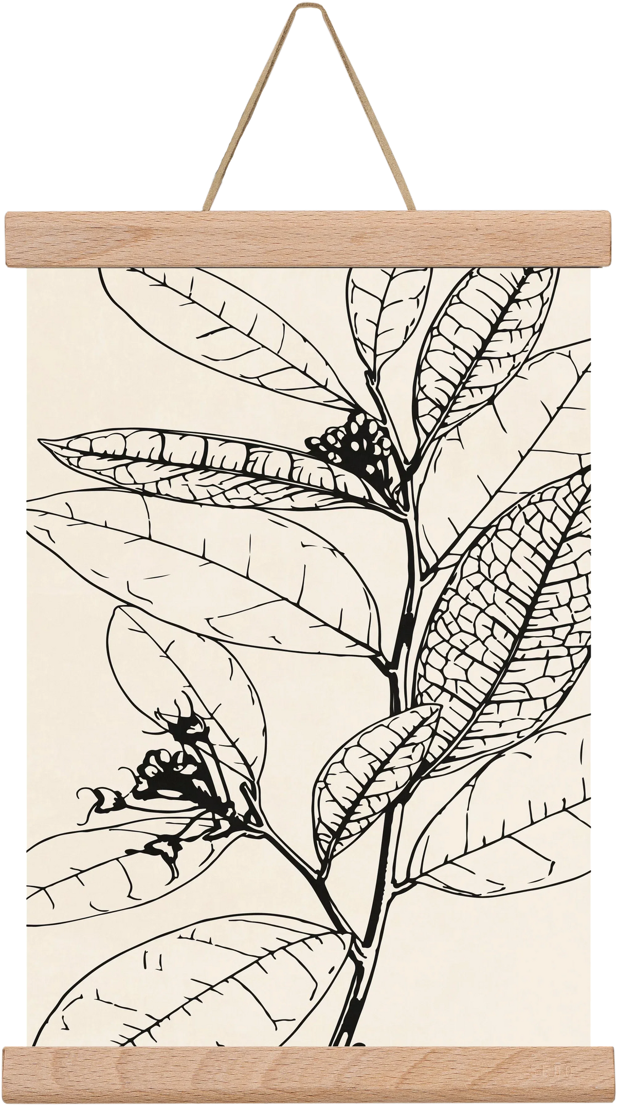 MINIMAL PLANT 02 - artbridge