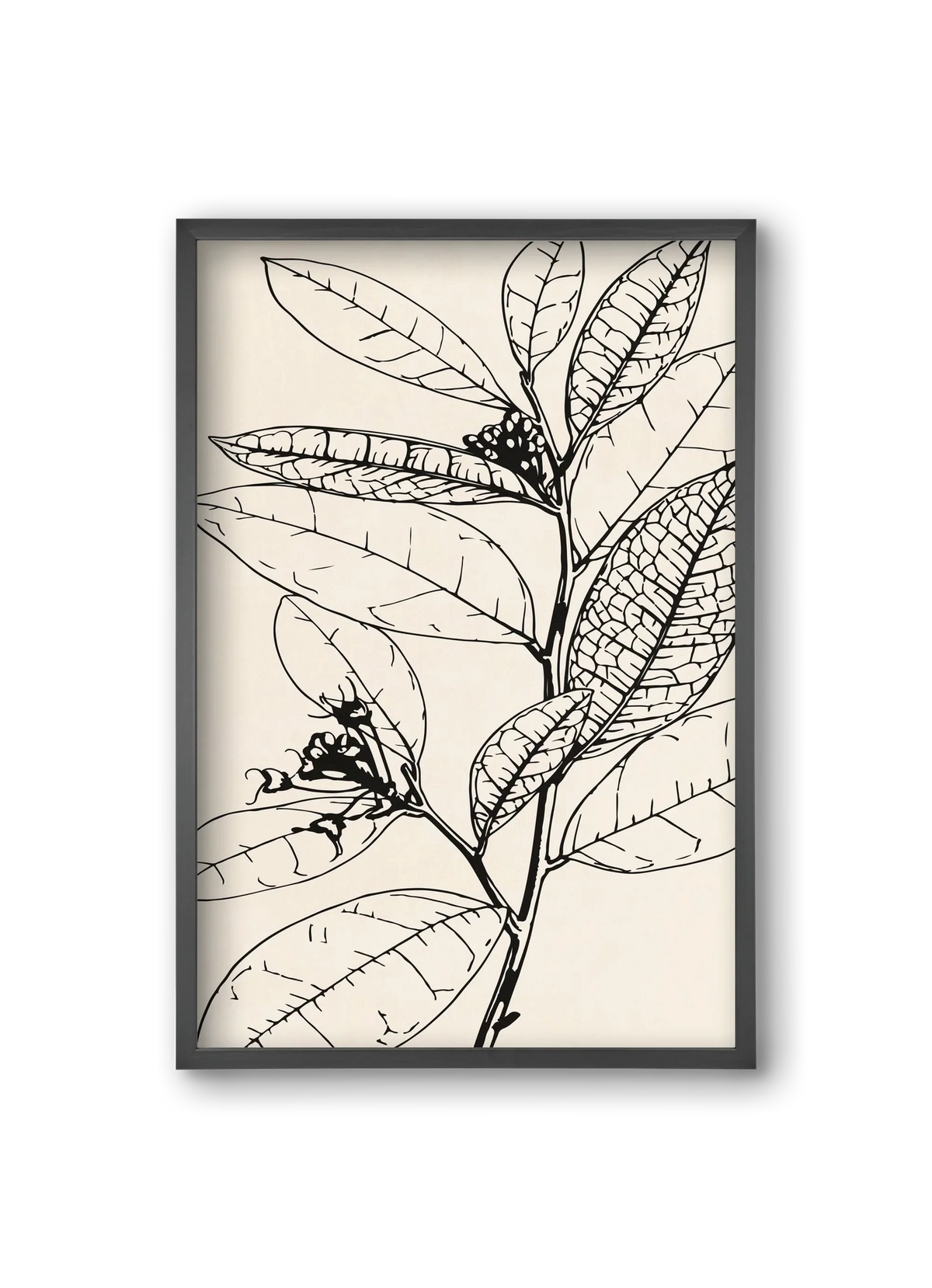 MINIMAL PLANT 02 - artbridge