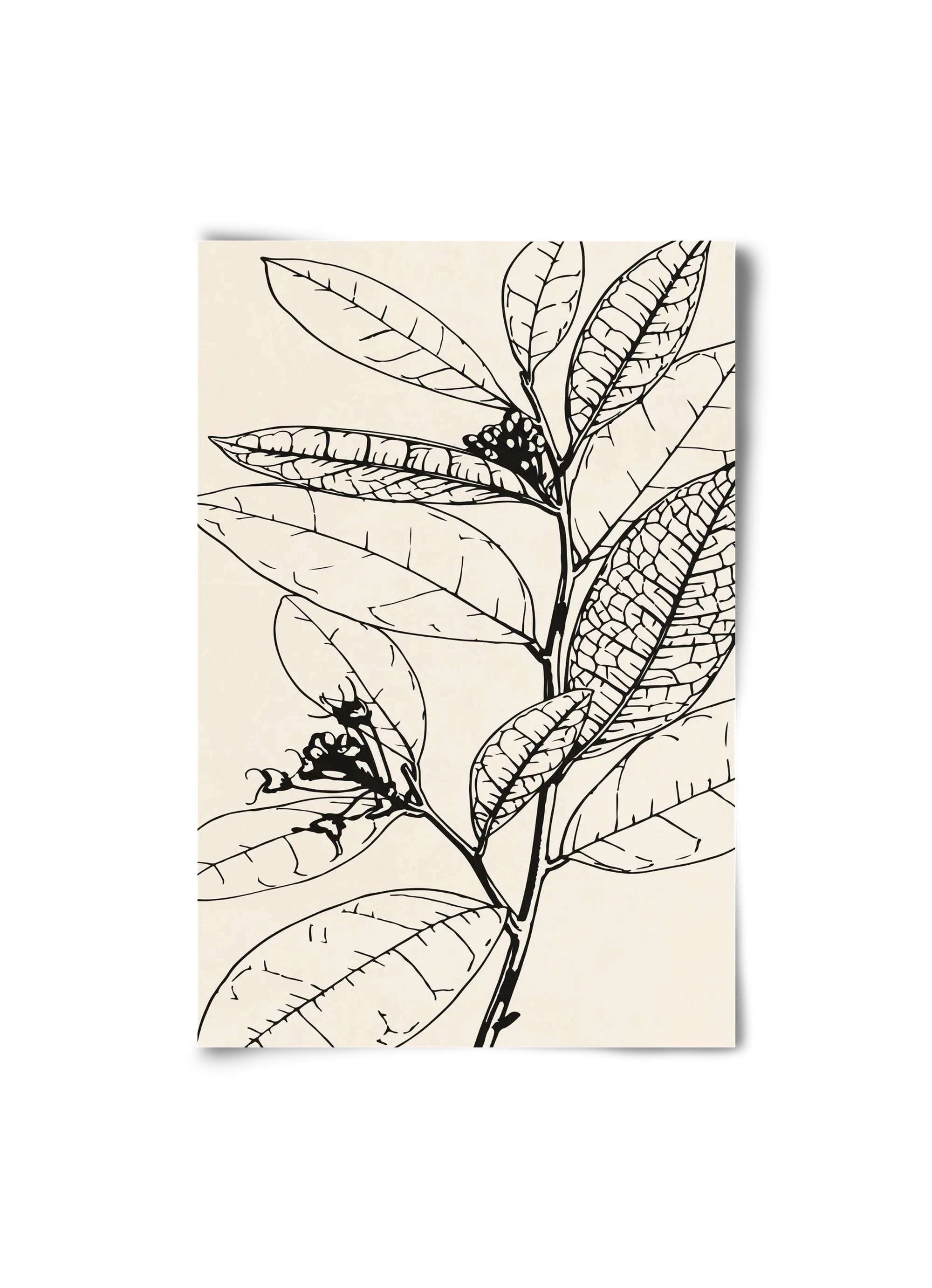 MINIMAL PLANT 02 - artbridge