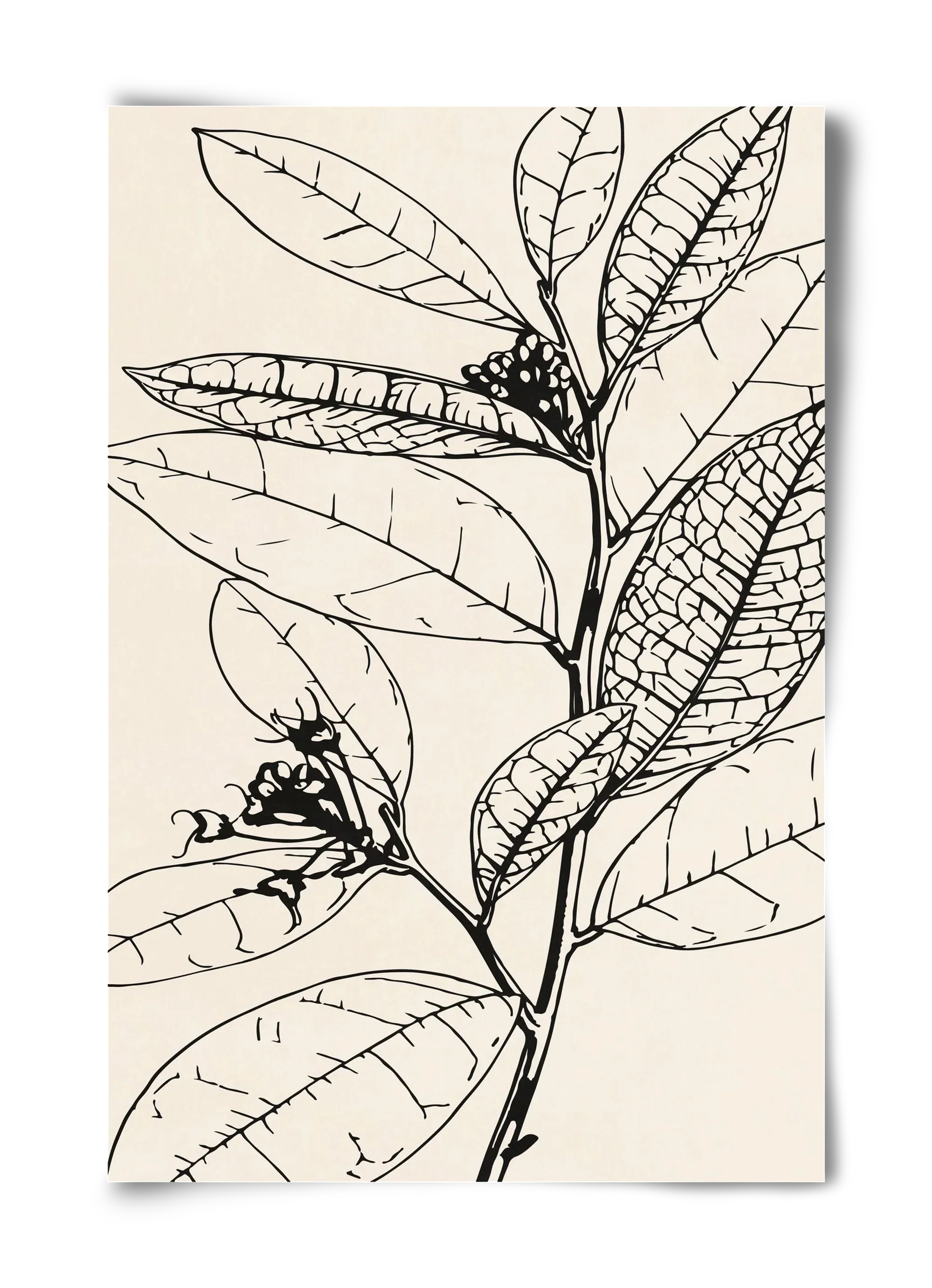 MINIMAL PLANT 02 - artbridge