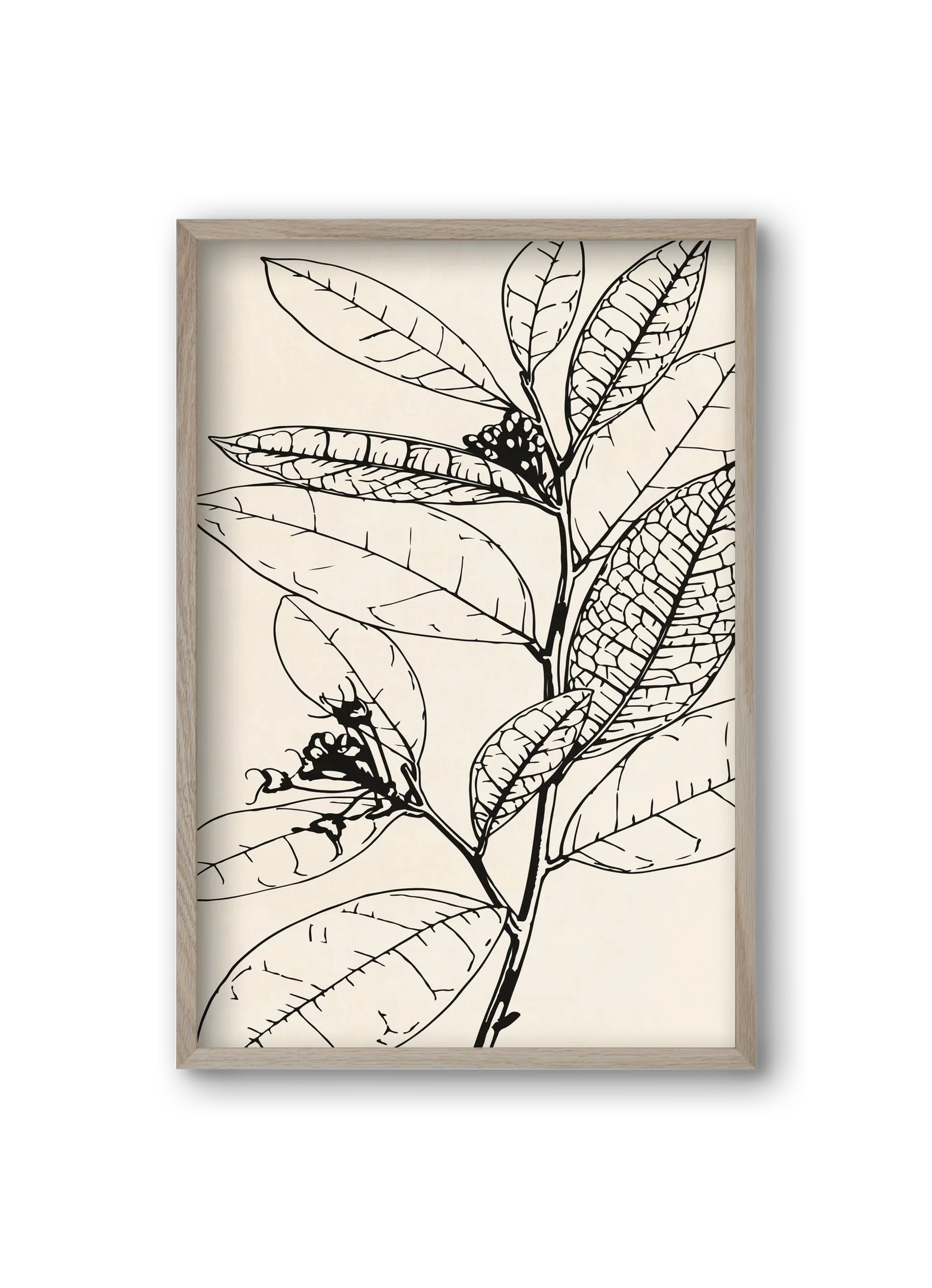 MINIMAL PLANT 02 - artbridge