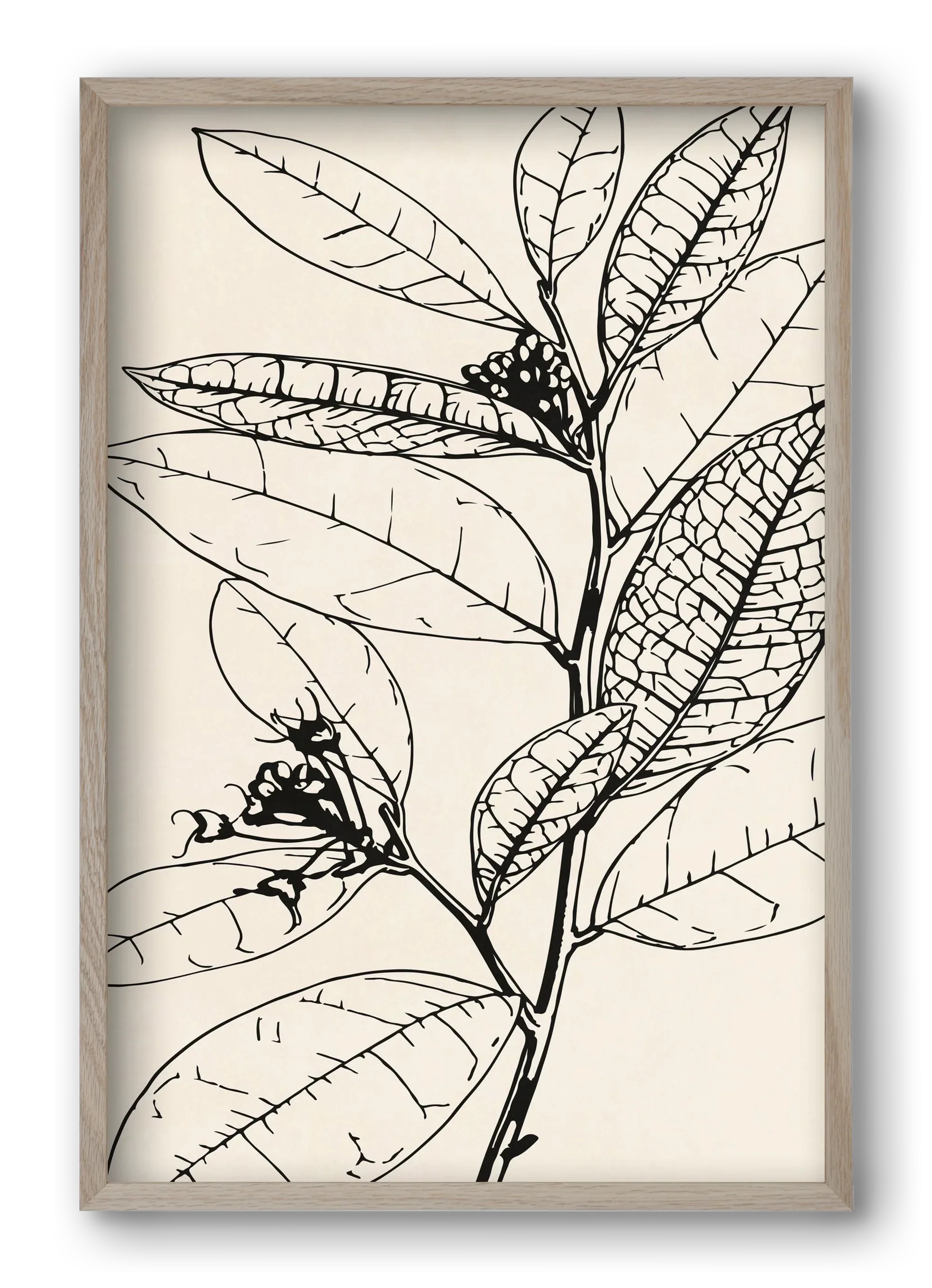 MINIMAL PLANT 02 - artbridge
