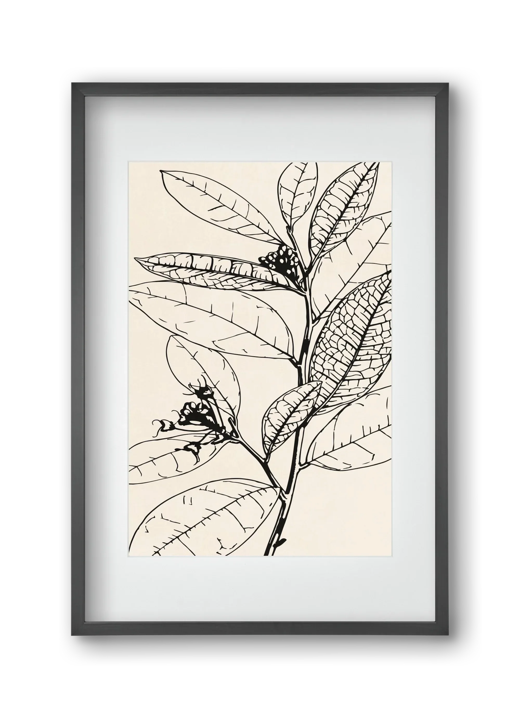 MINIMAL PLANT 02 - artbridge