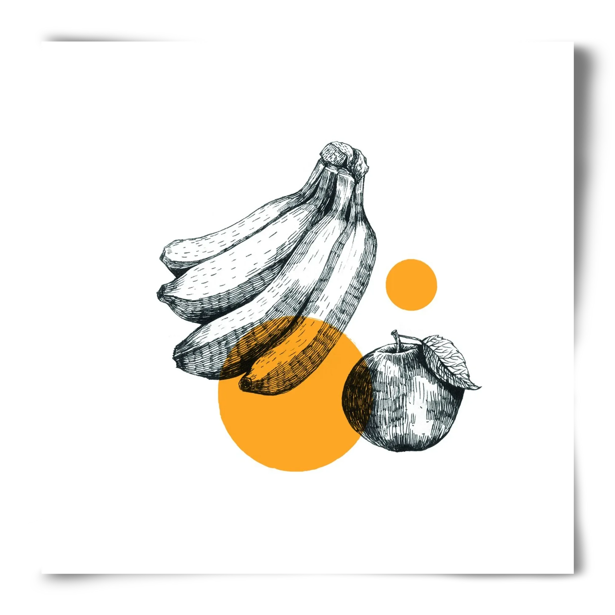 Fruits - artbridge