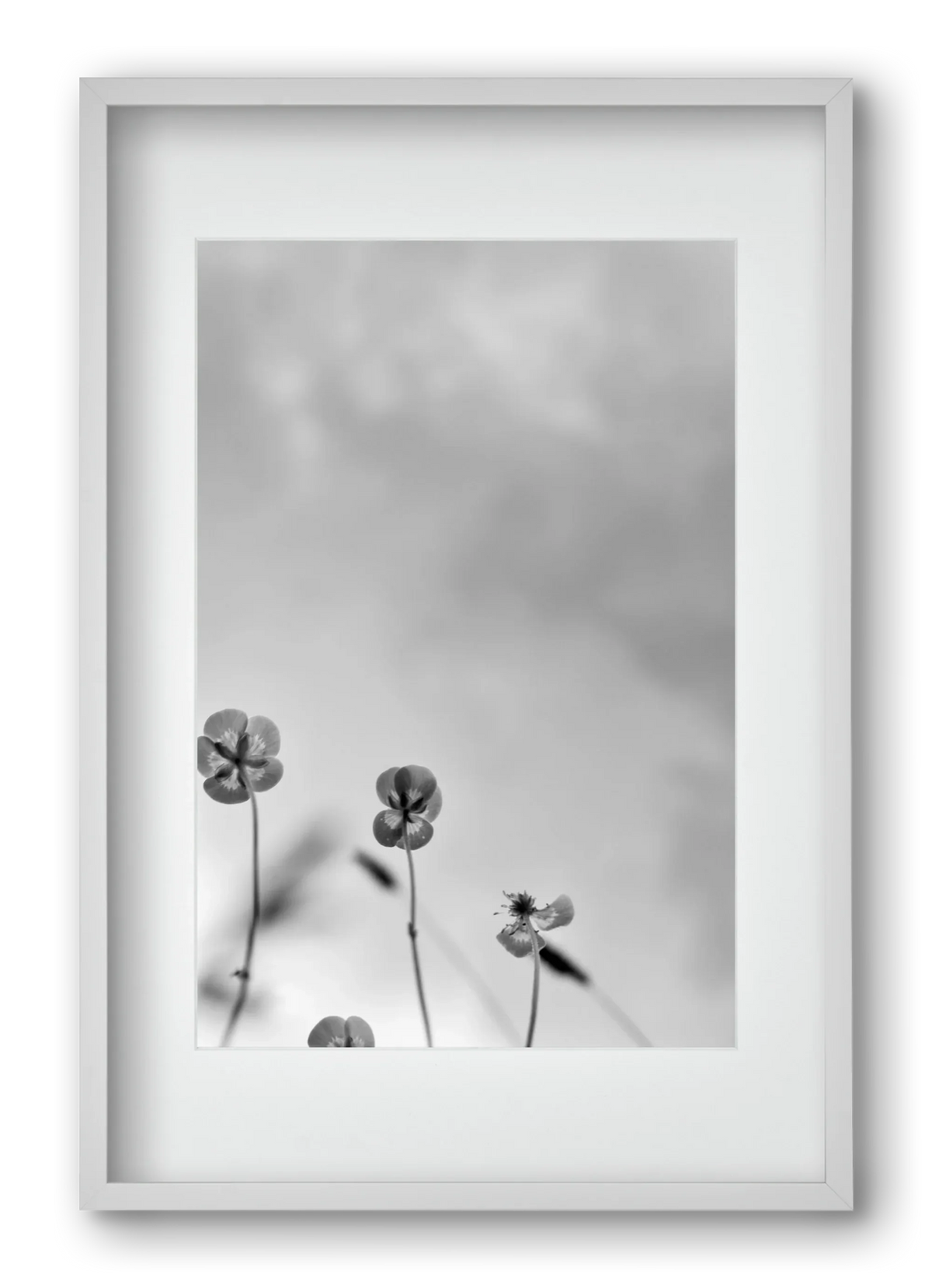 Buttercups - artbridge