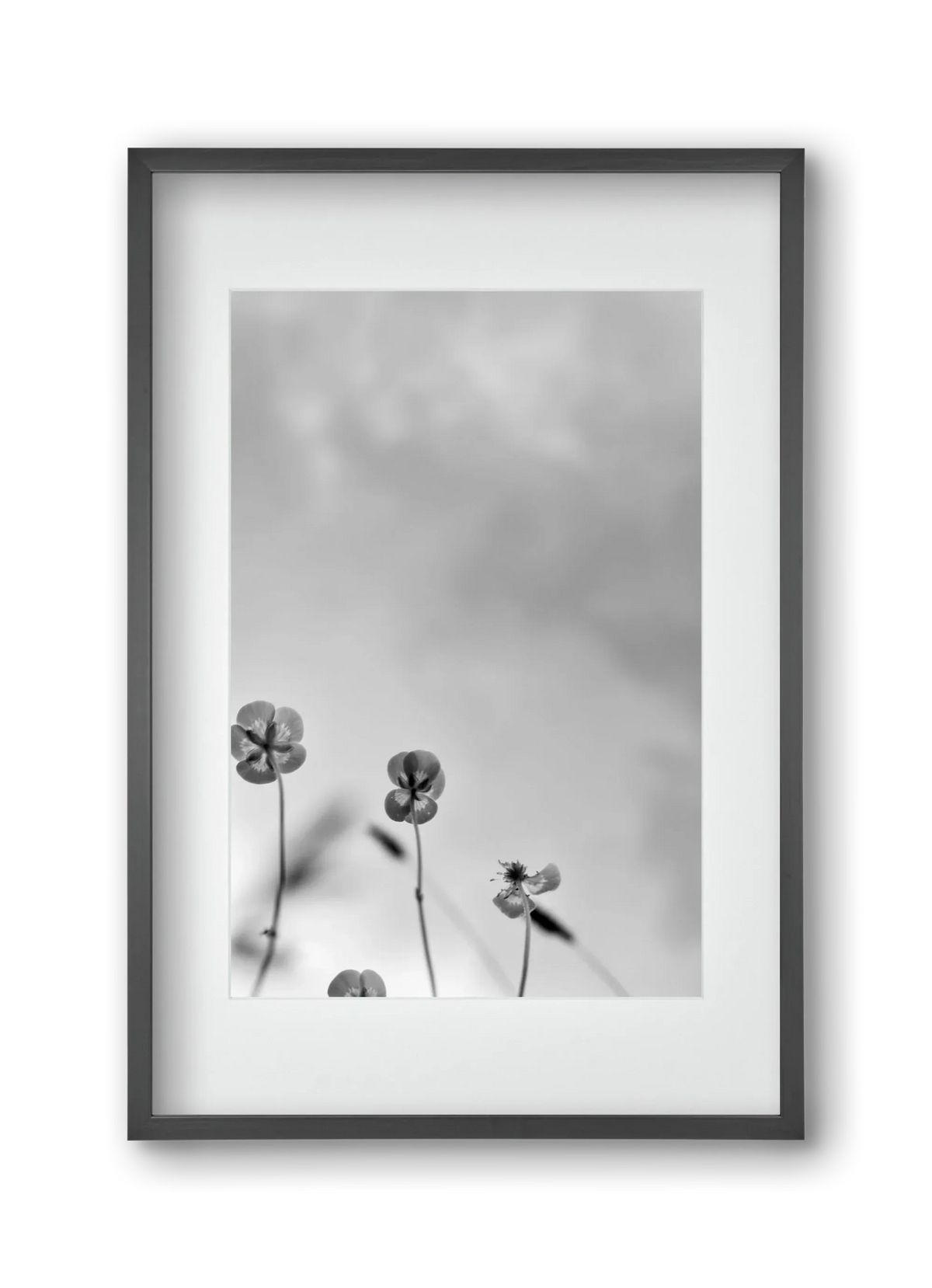 Buttercups - artbridge