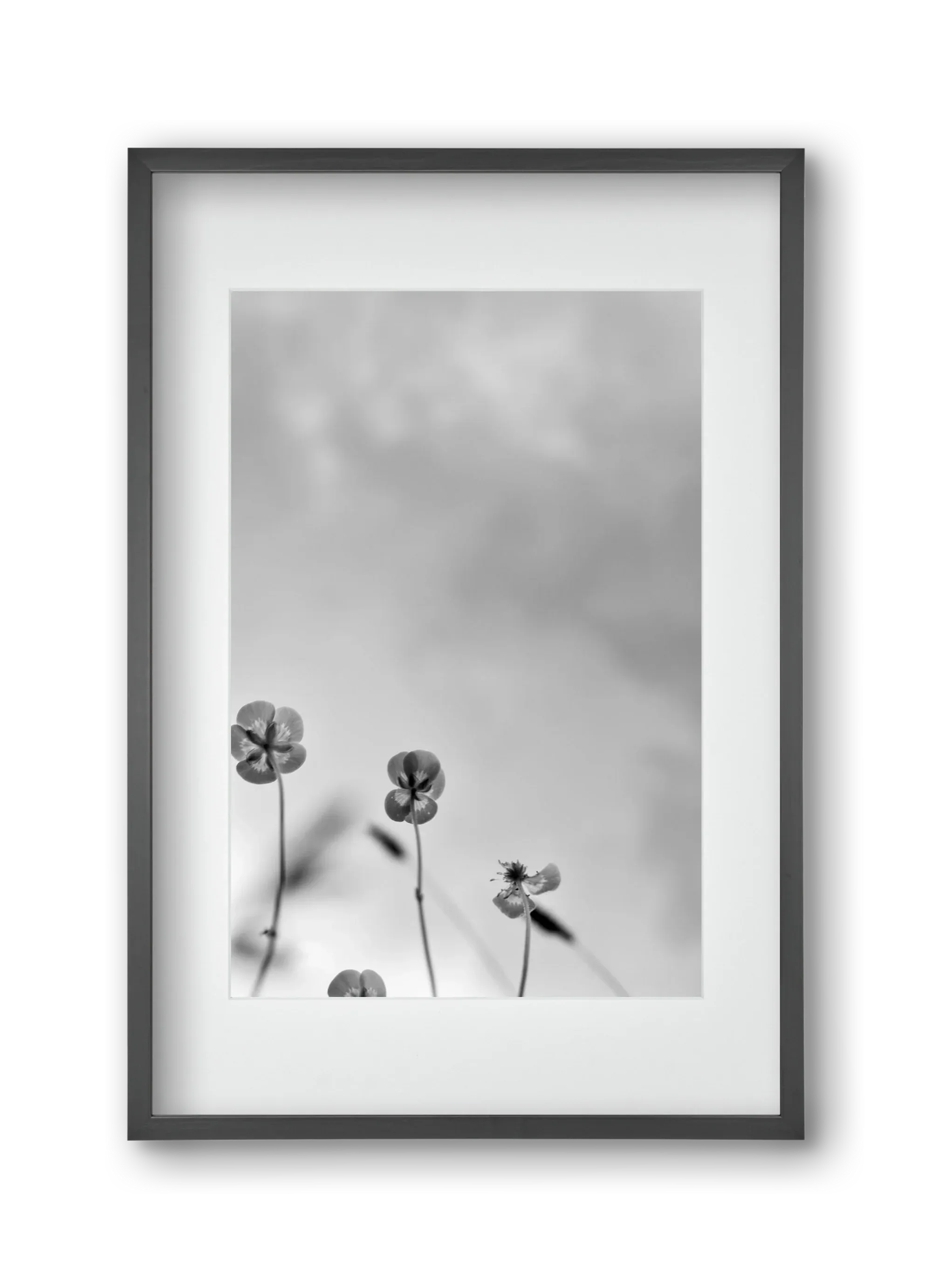 Buttercups - artbridge
