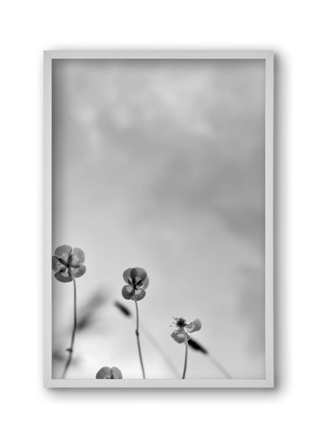Buttercups - artbridge
