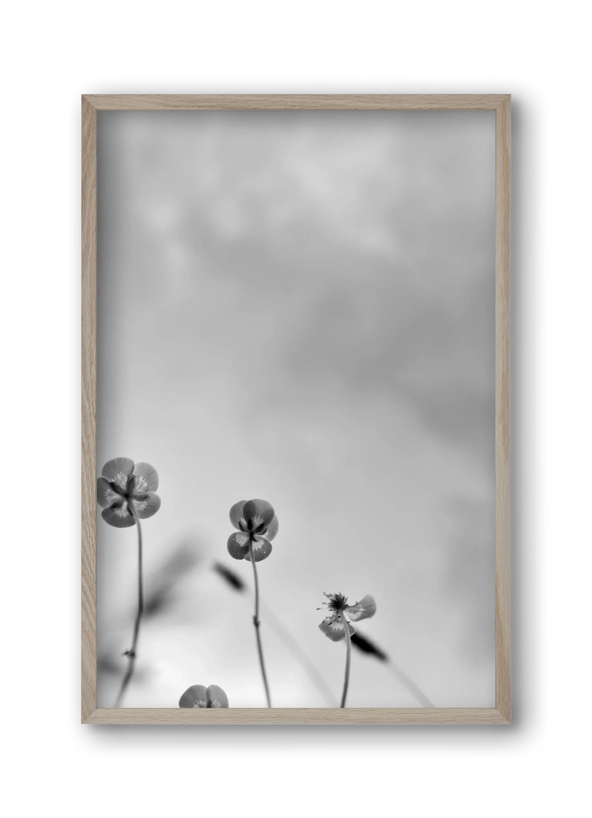 Buttercups - artbridge