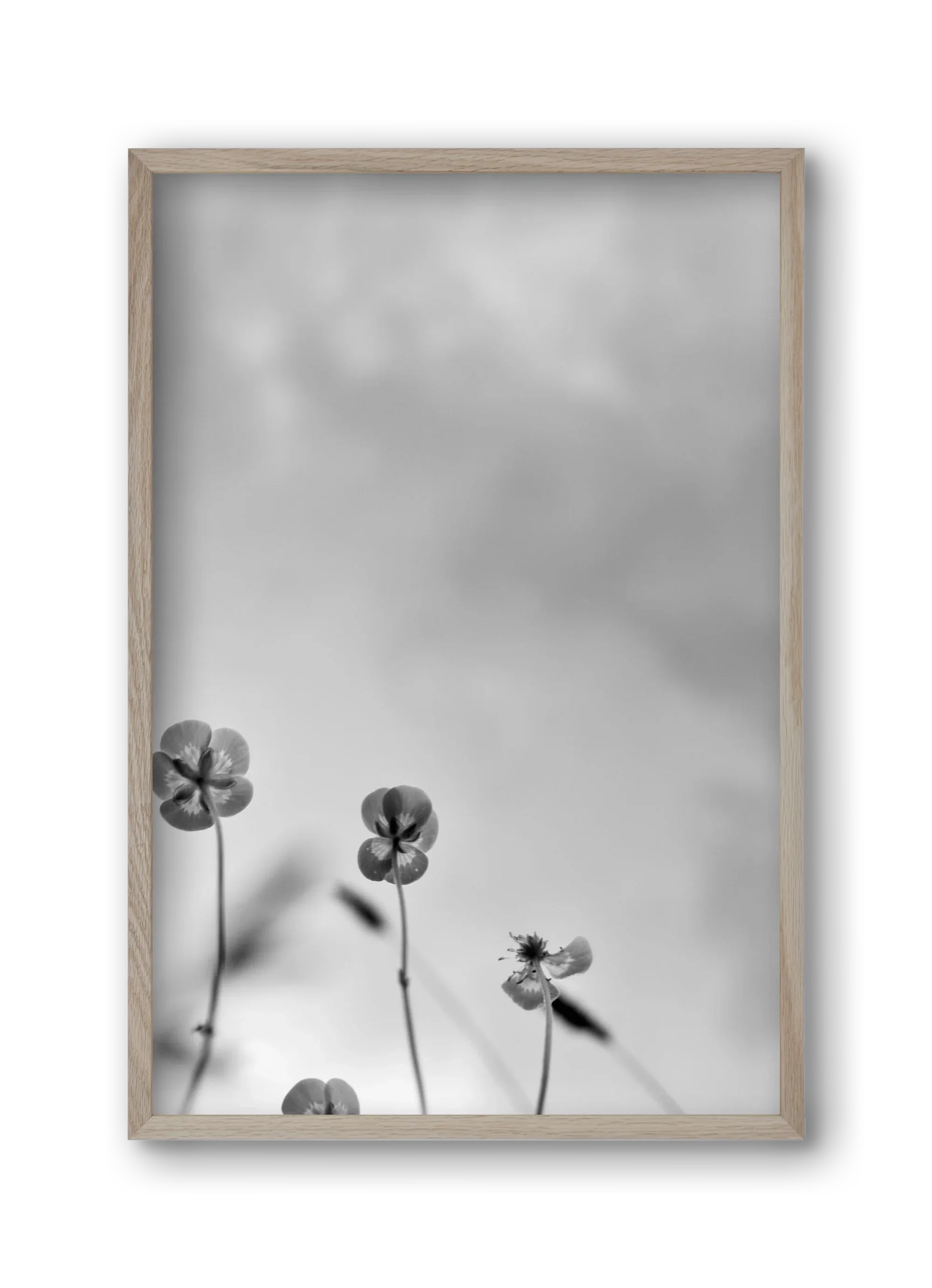 Buttercups - artbridge