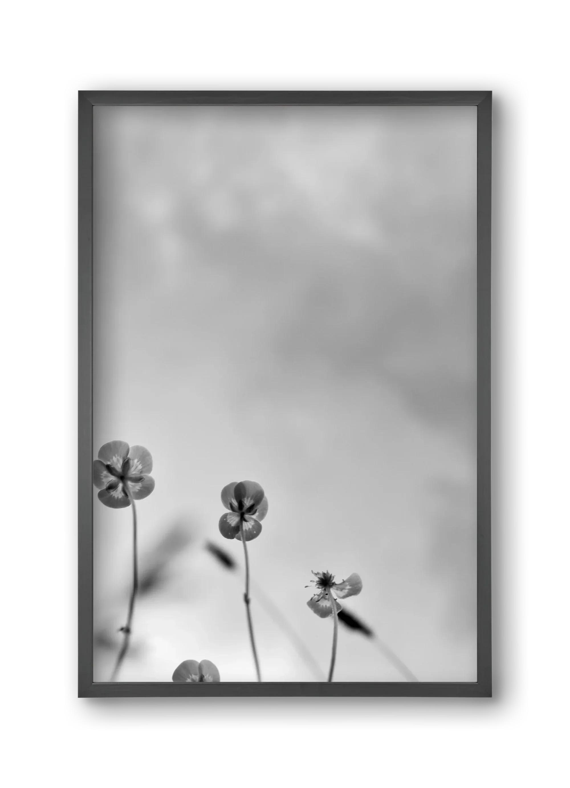 Buttercups - artbridge