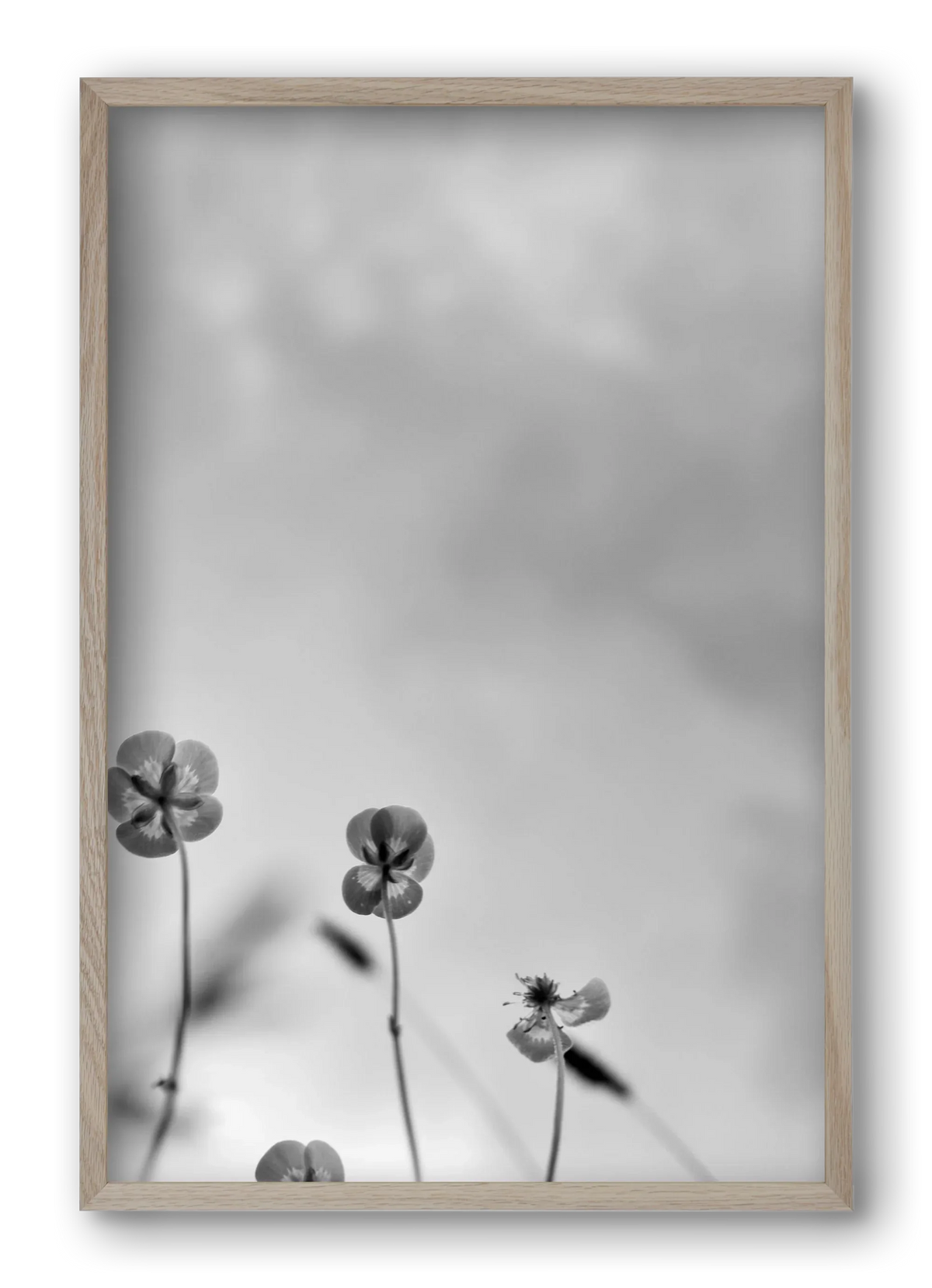 Buttercups - artbridge