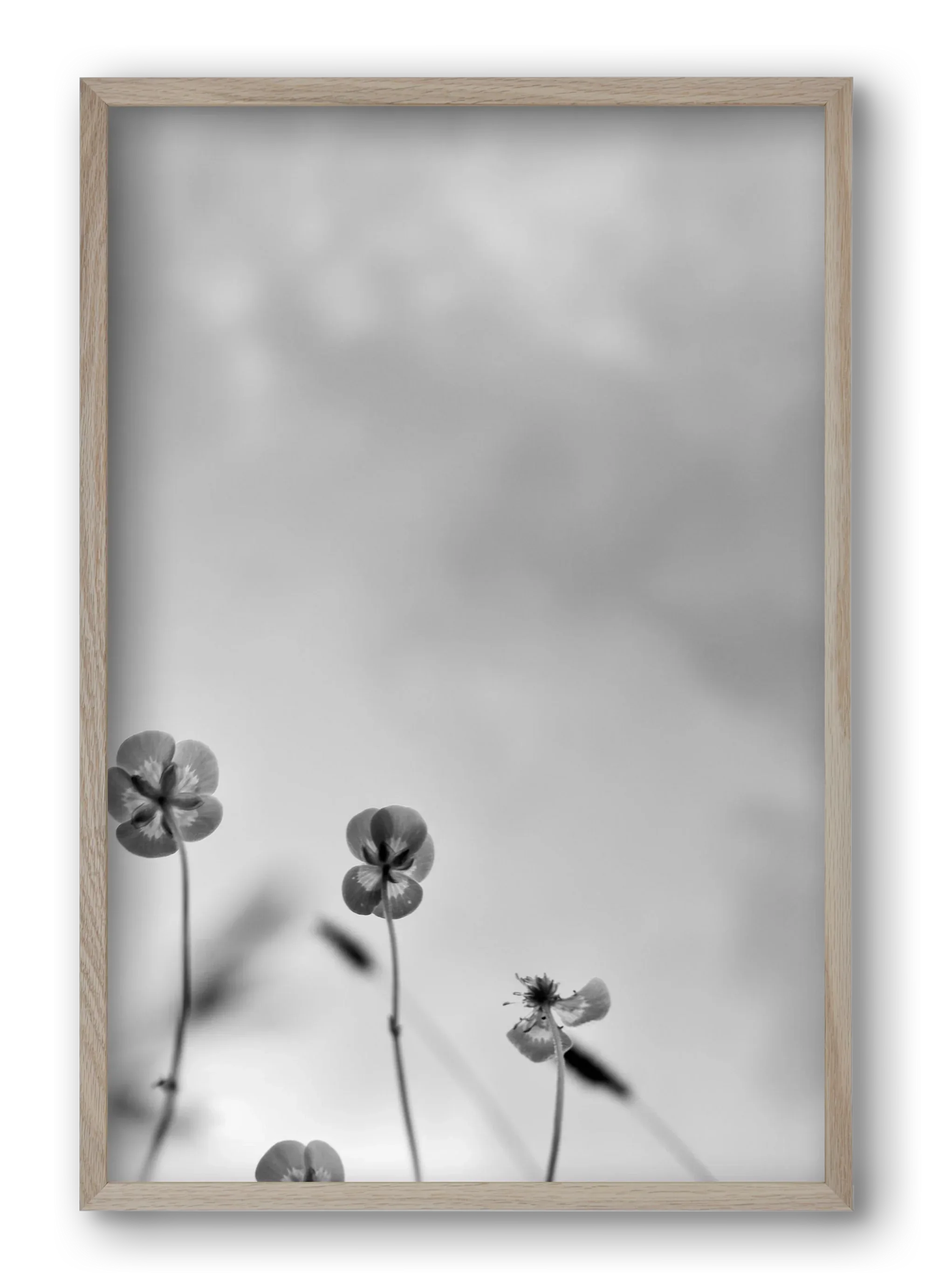 Buttercups - artbridge