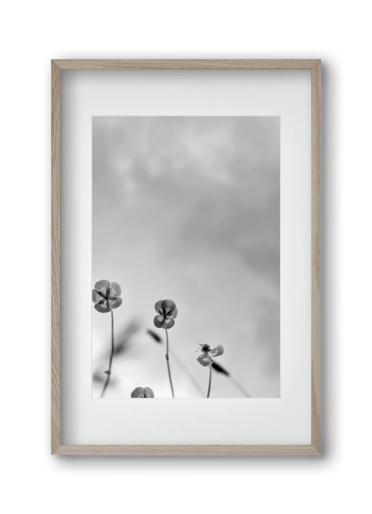Buttercups - artbridge
