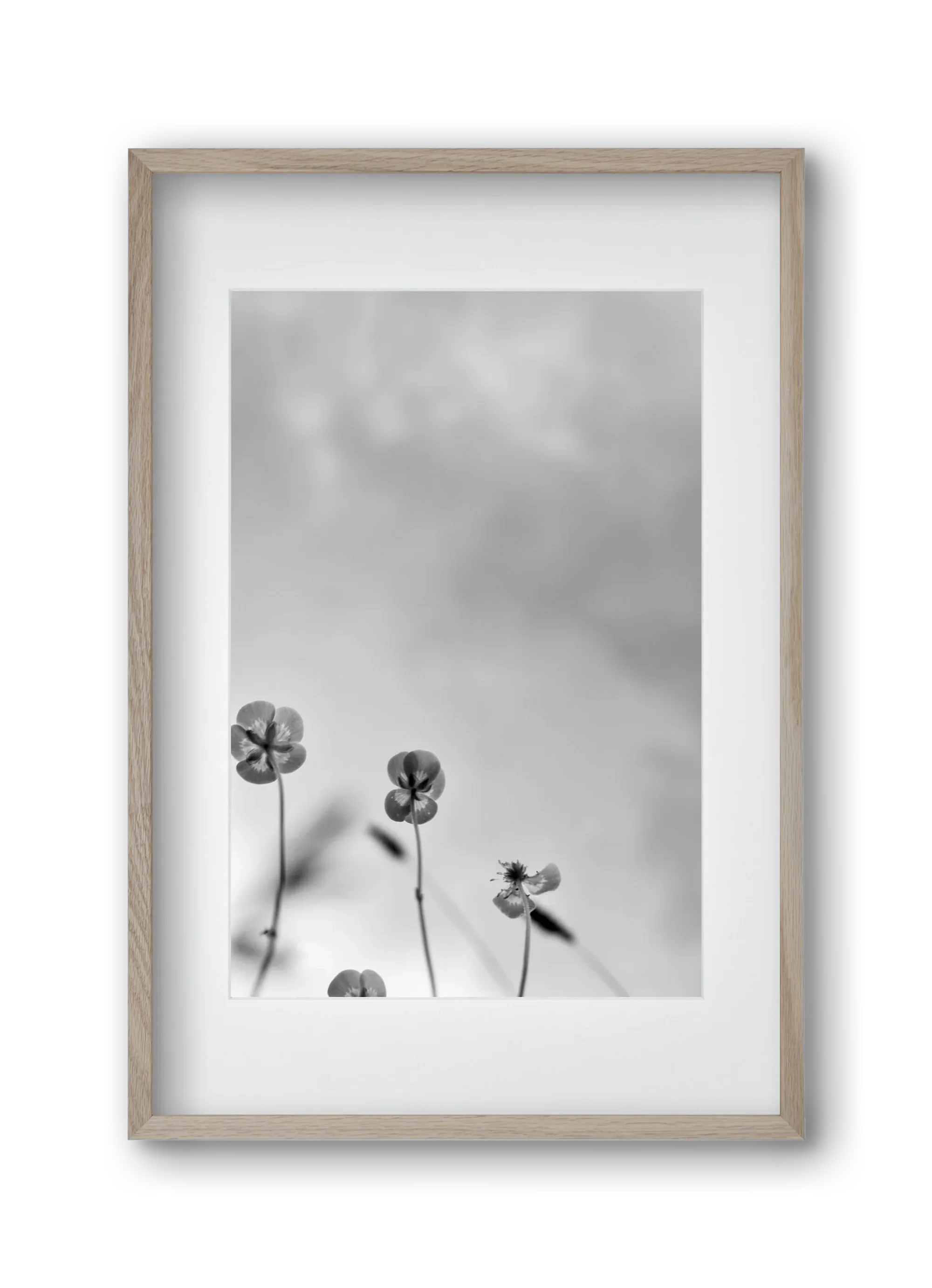 Buttercups - artbridge