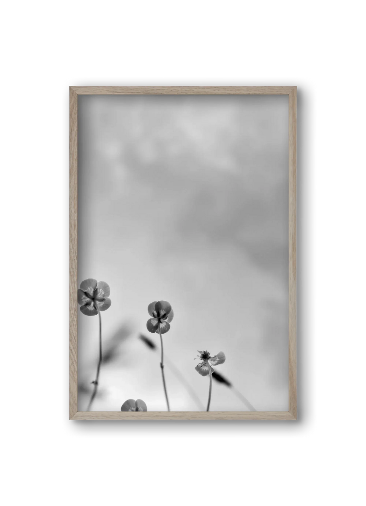 Buttercups - artbridge