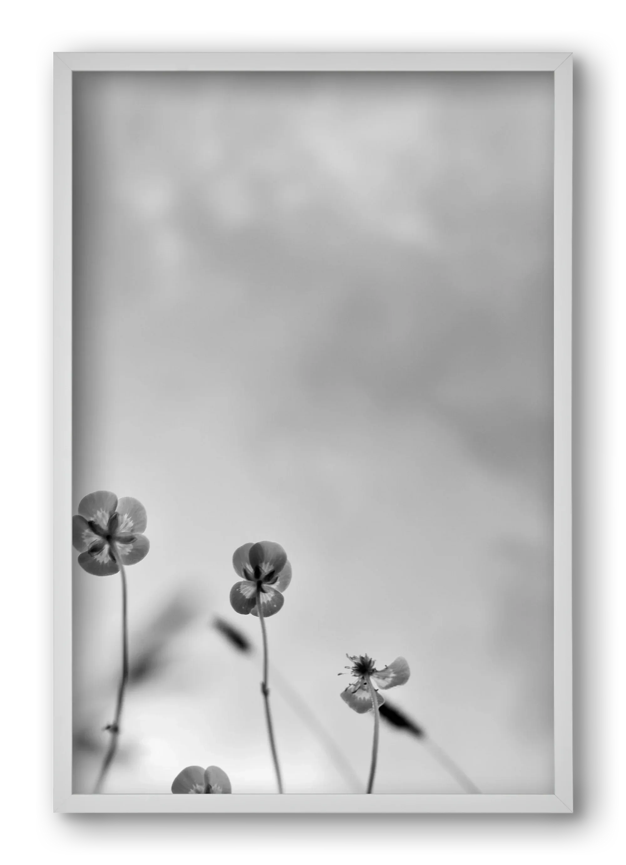 Buttercups - artbridge
