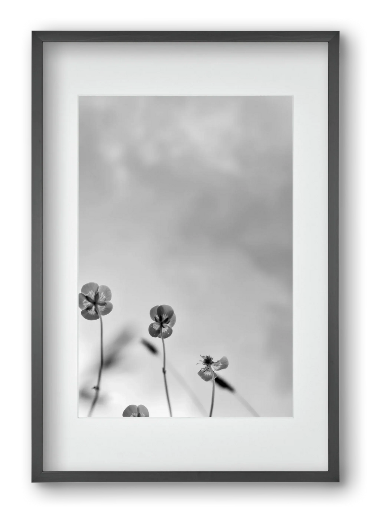 Buttercups - artbridge