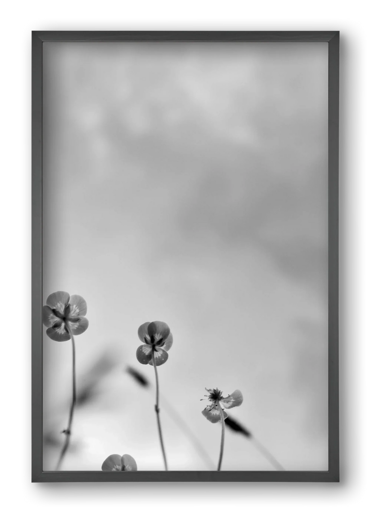 Buttercups - artbridge