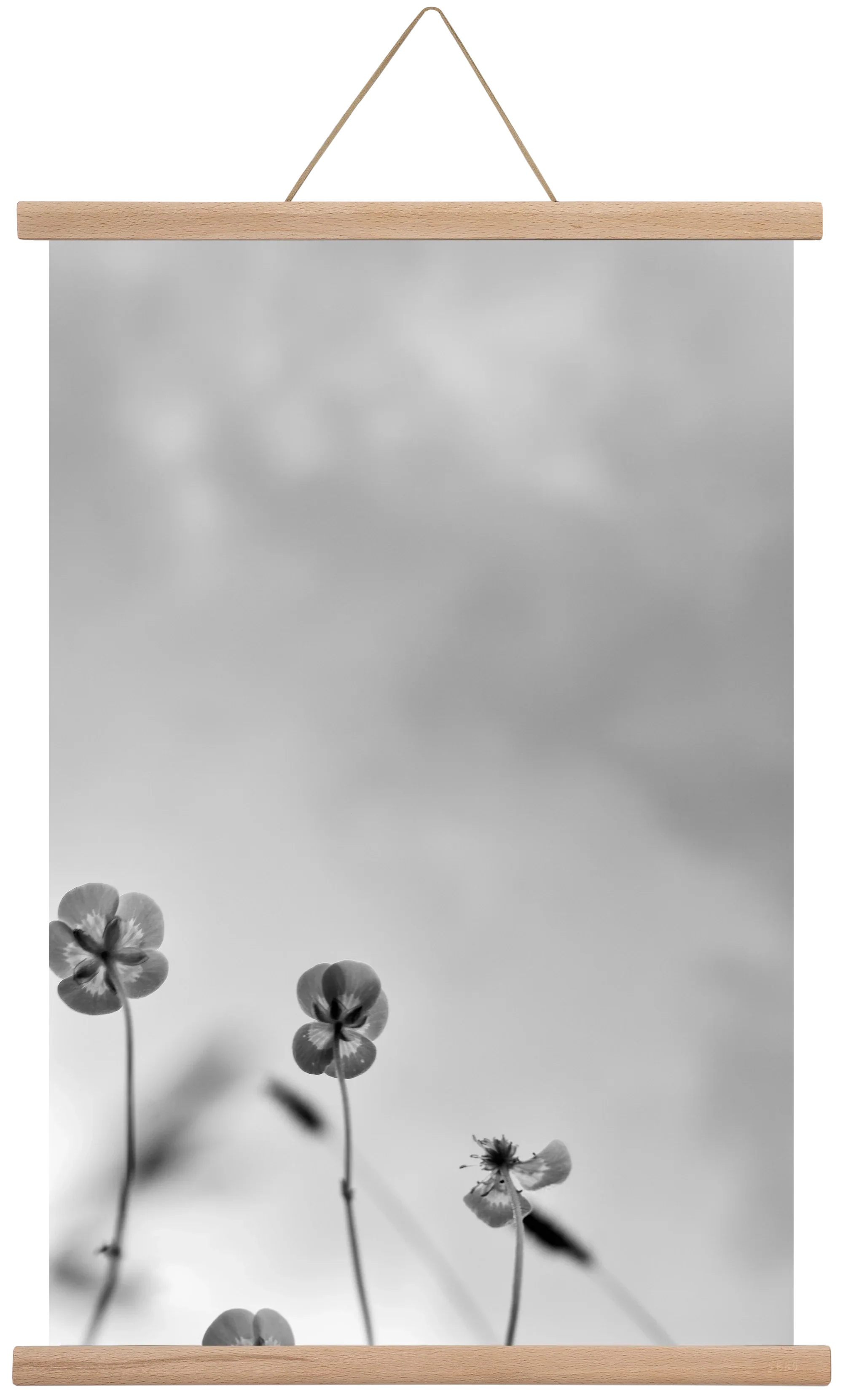 Buttercups - artbridge