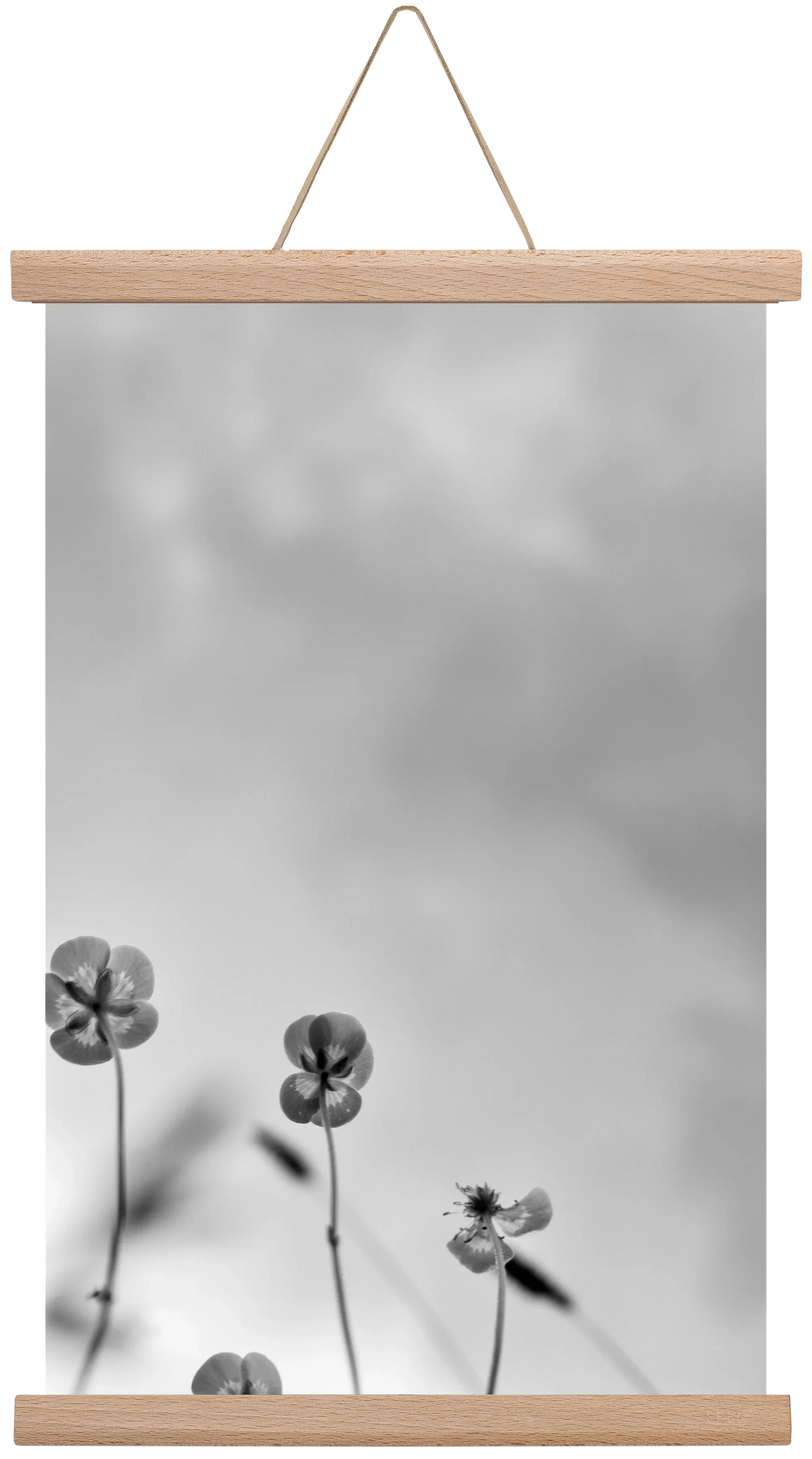 Buttercups - artbridge