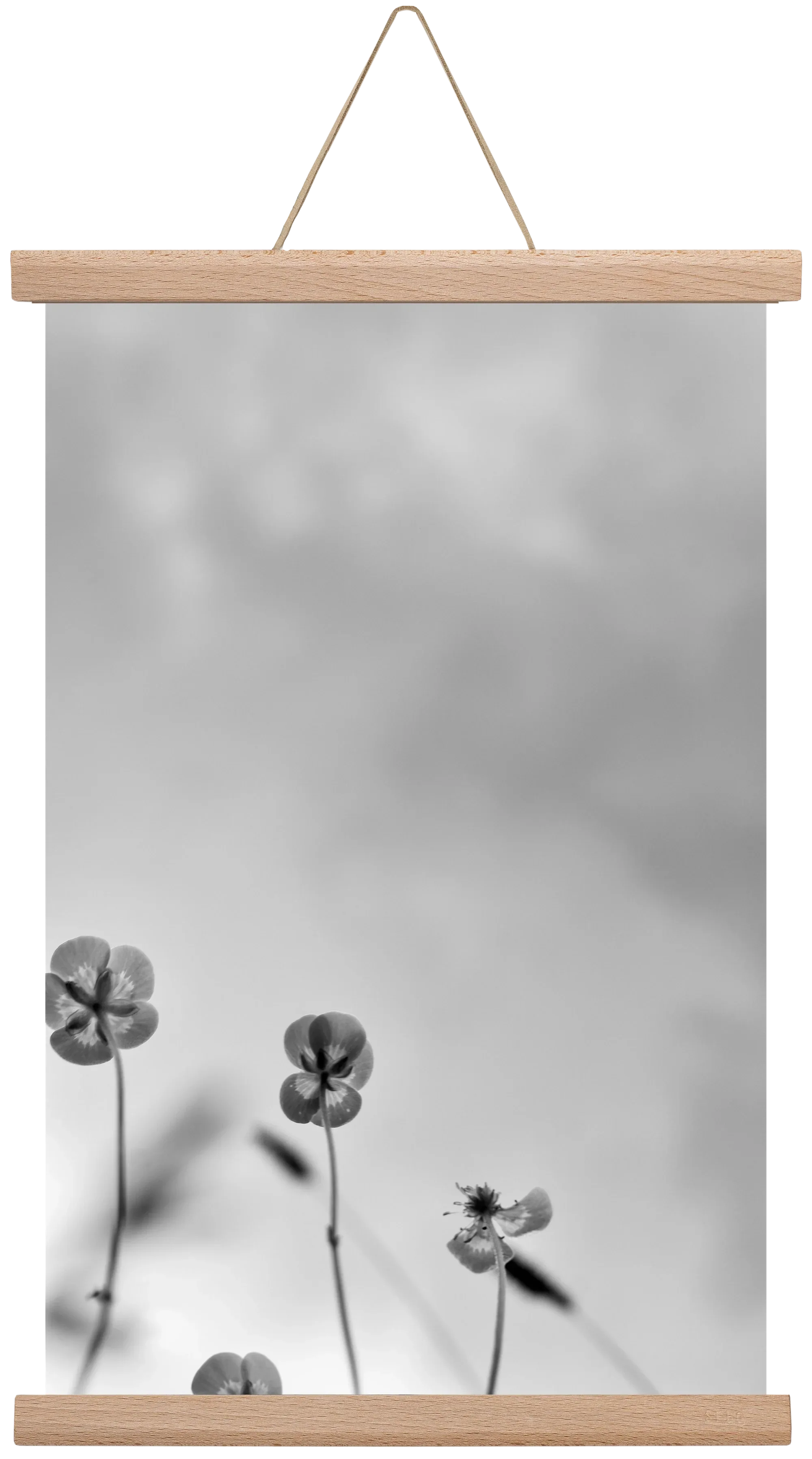 Buttercups - artbridge