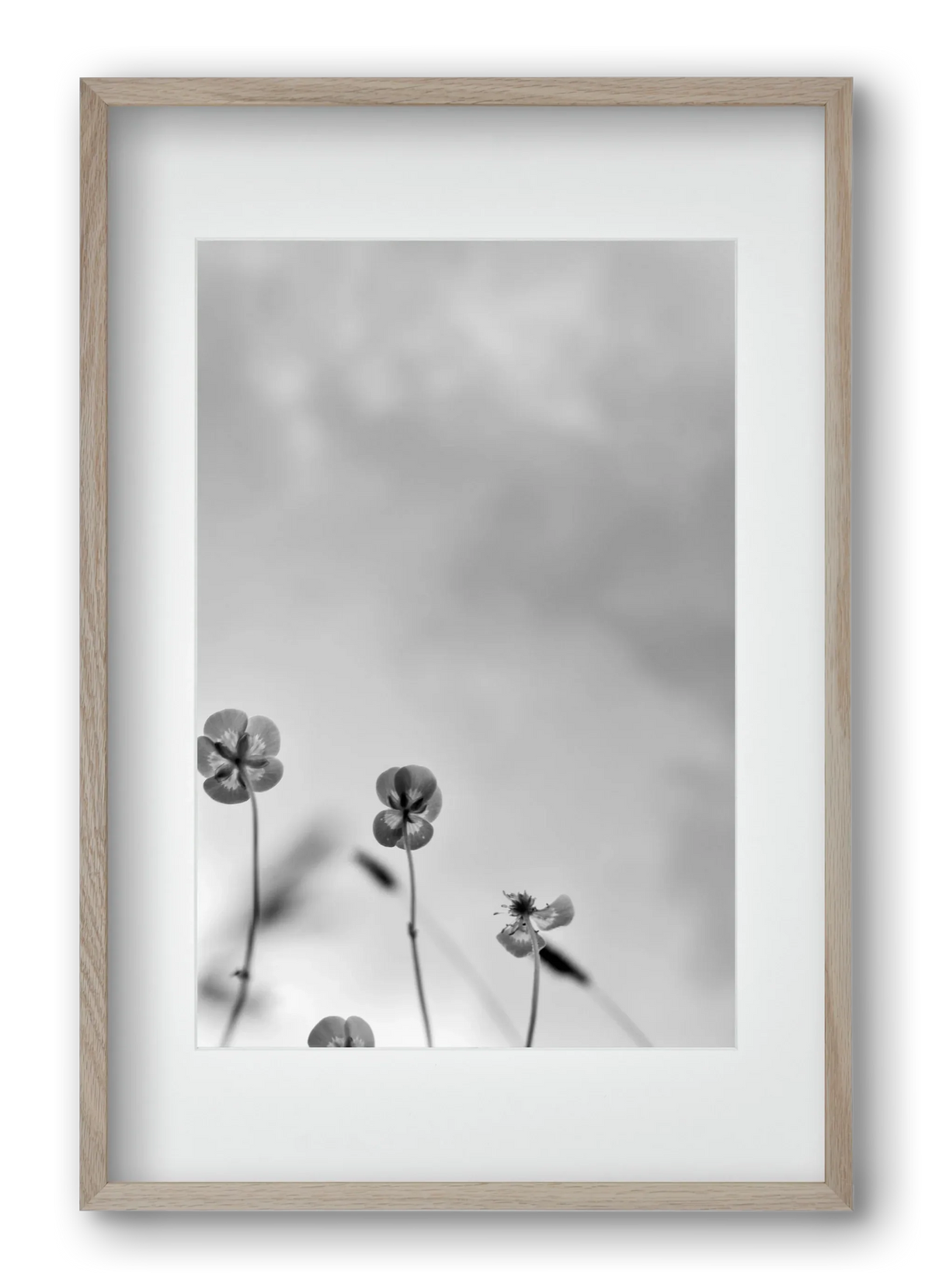 Buttercups - artbridge
