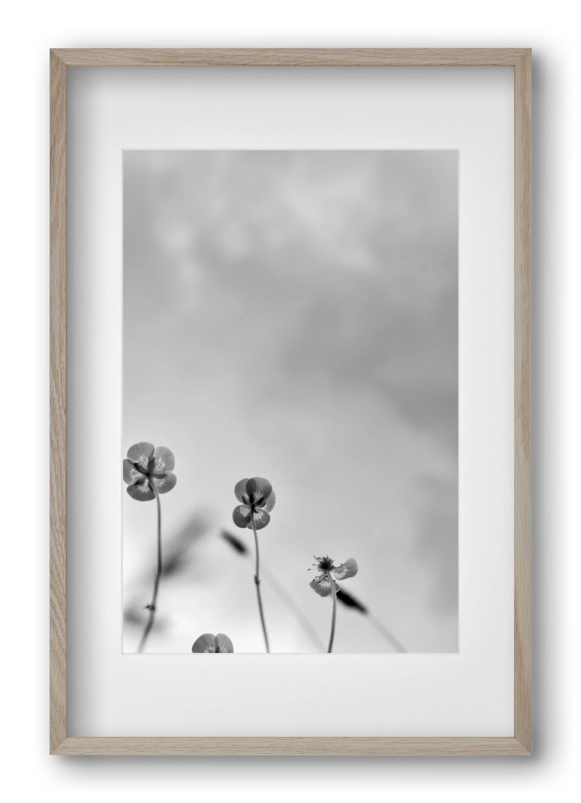 Buttercups - artbridge