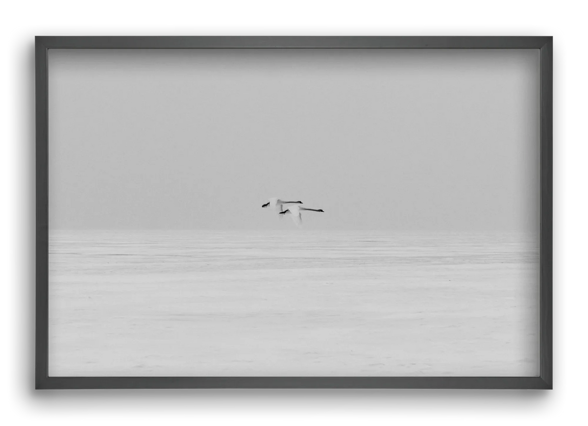Parallel - artbridge