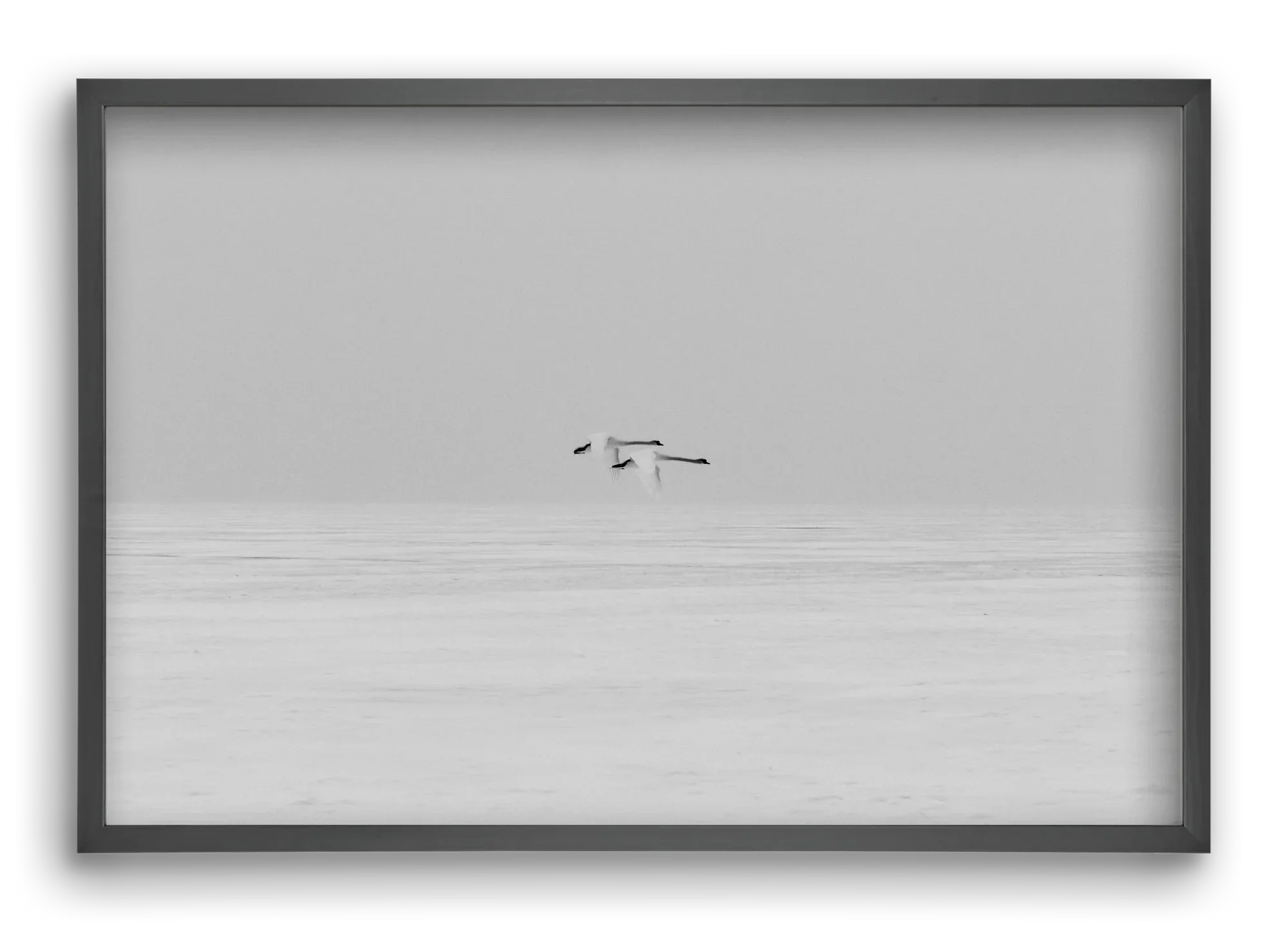 Parallel - artbridge