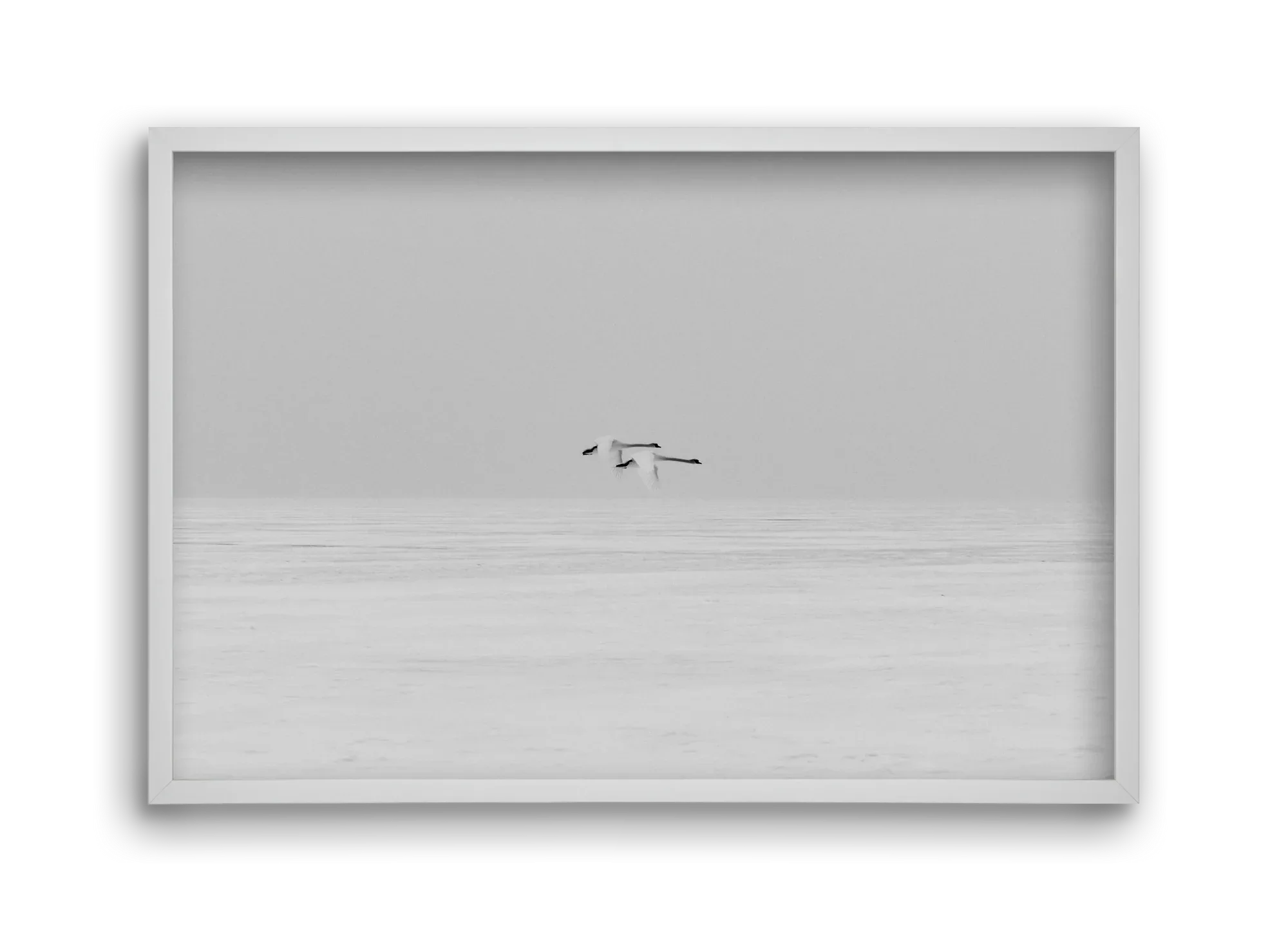 Parallel - artbridge