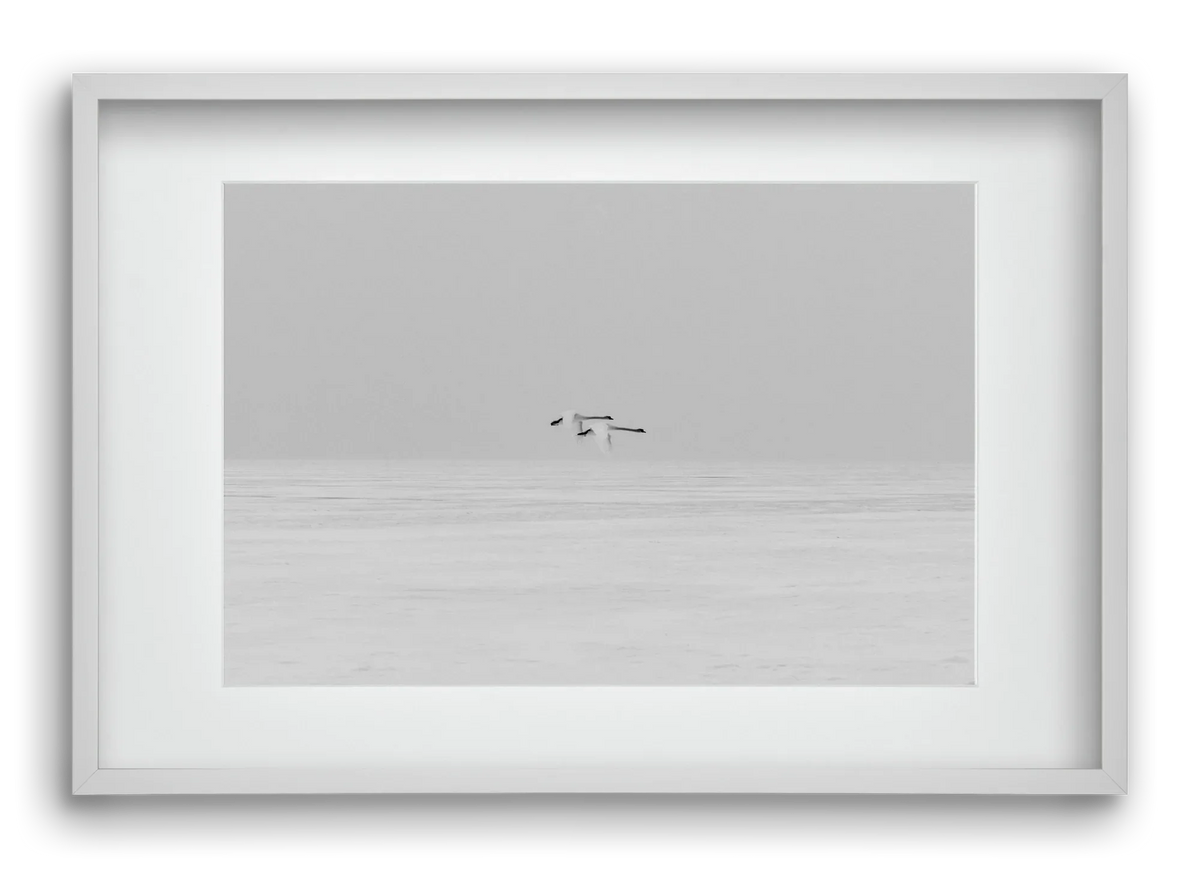 Parallel - artbridge