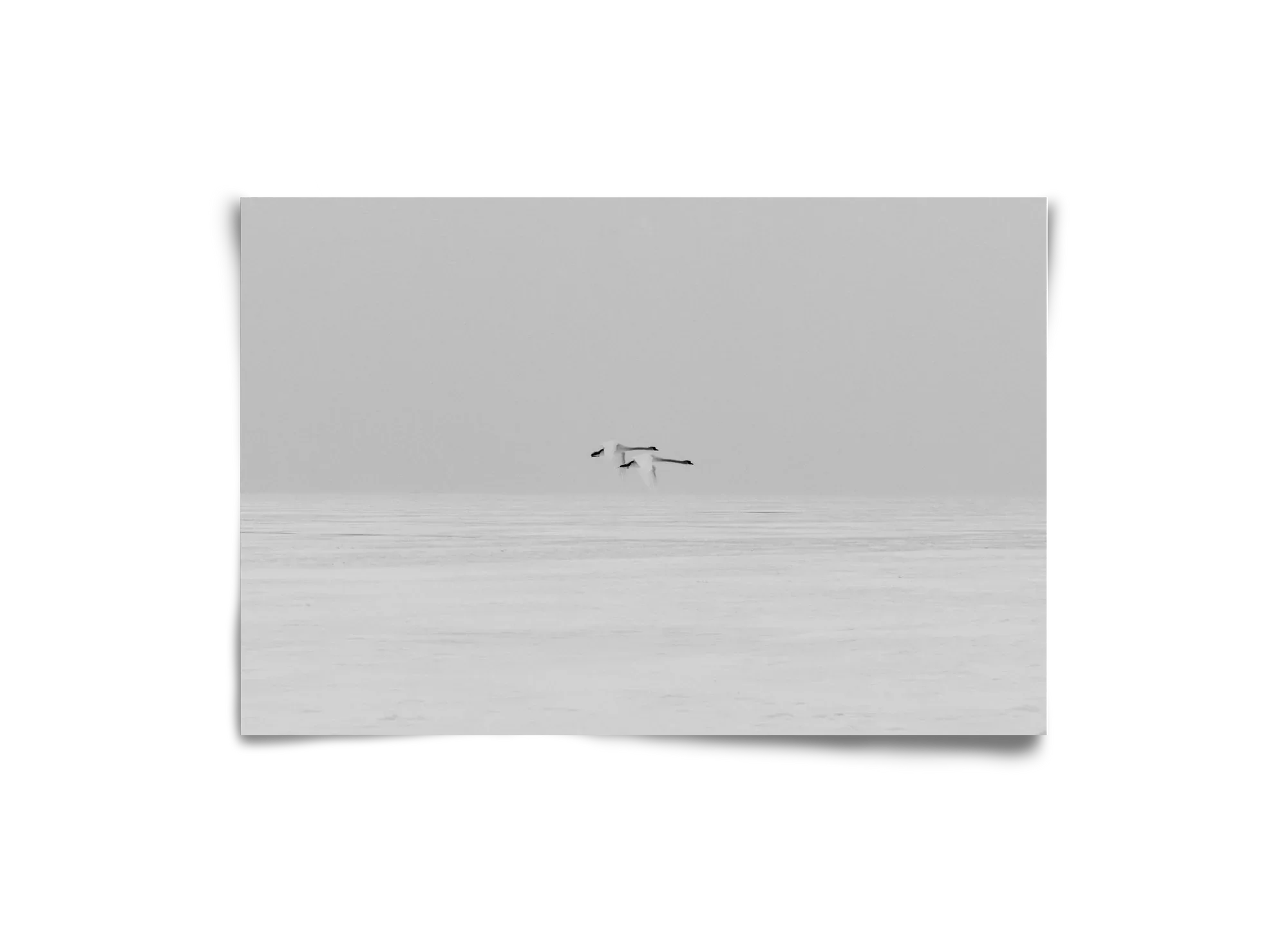 Parallel - artbridge