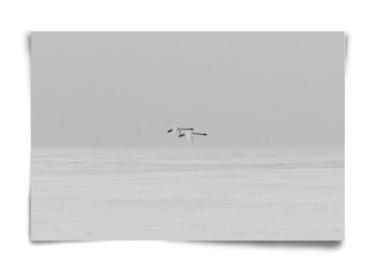 Parallel - artbridge