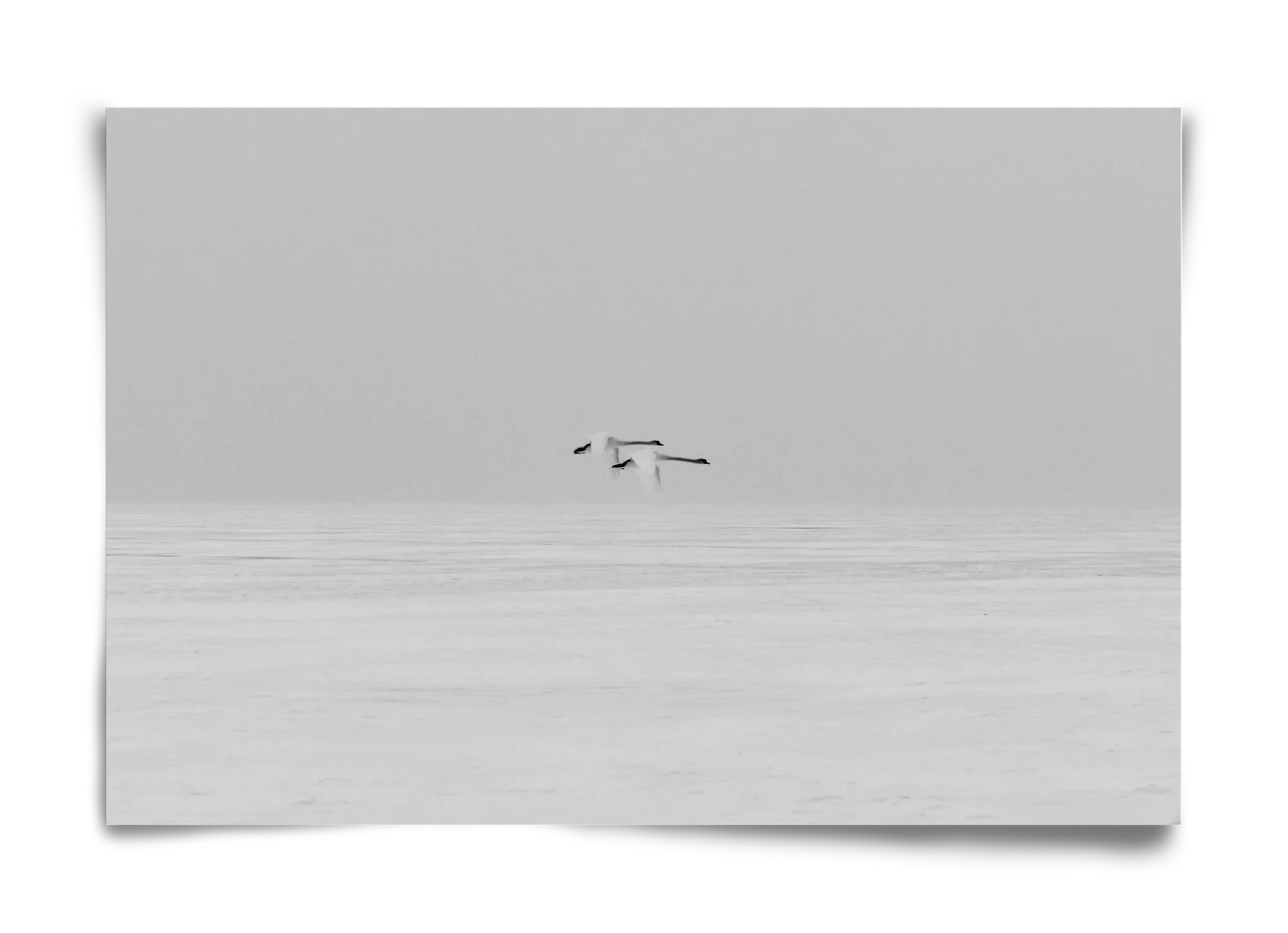Parallel - artbridge