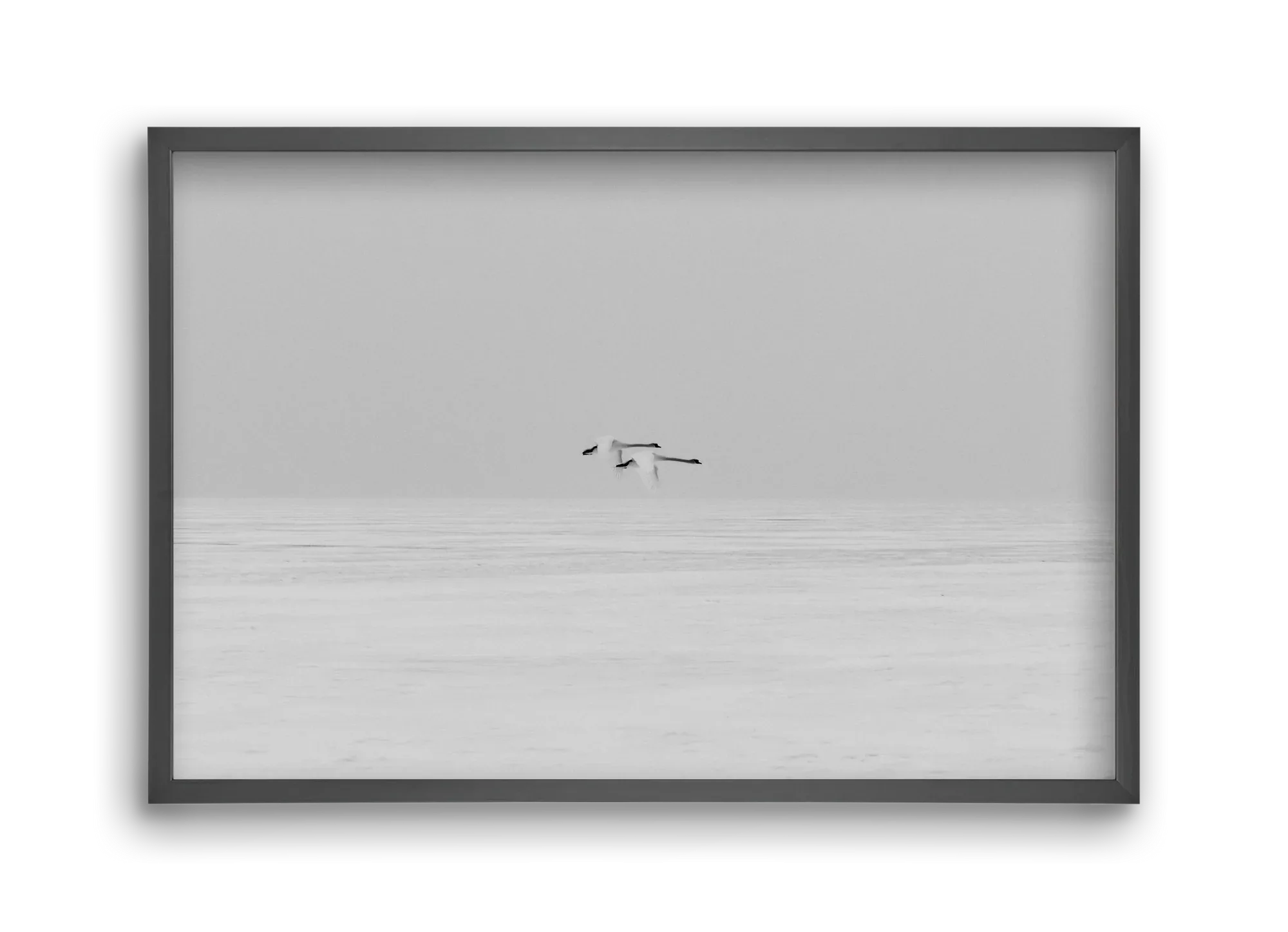 Parallel - artbridge