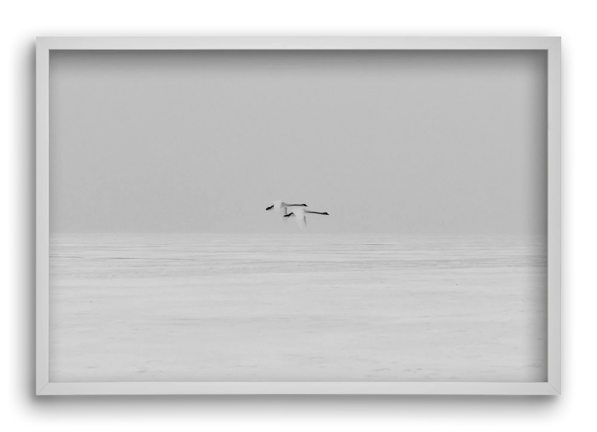Parallel - artbridge