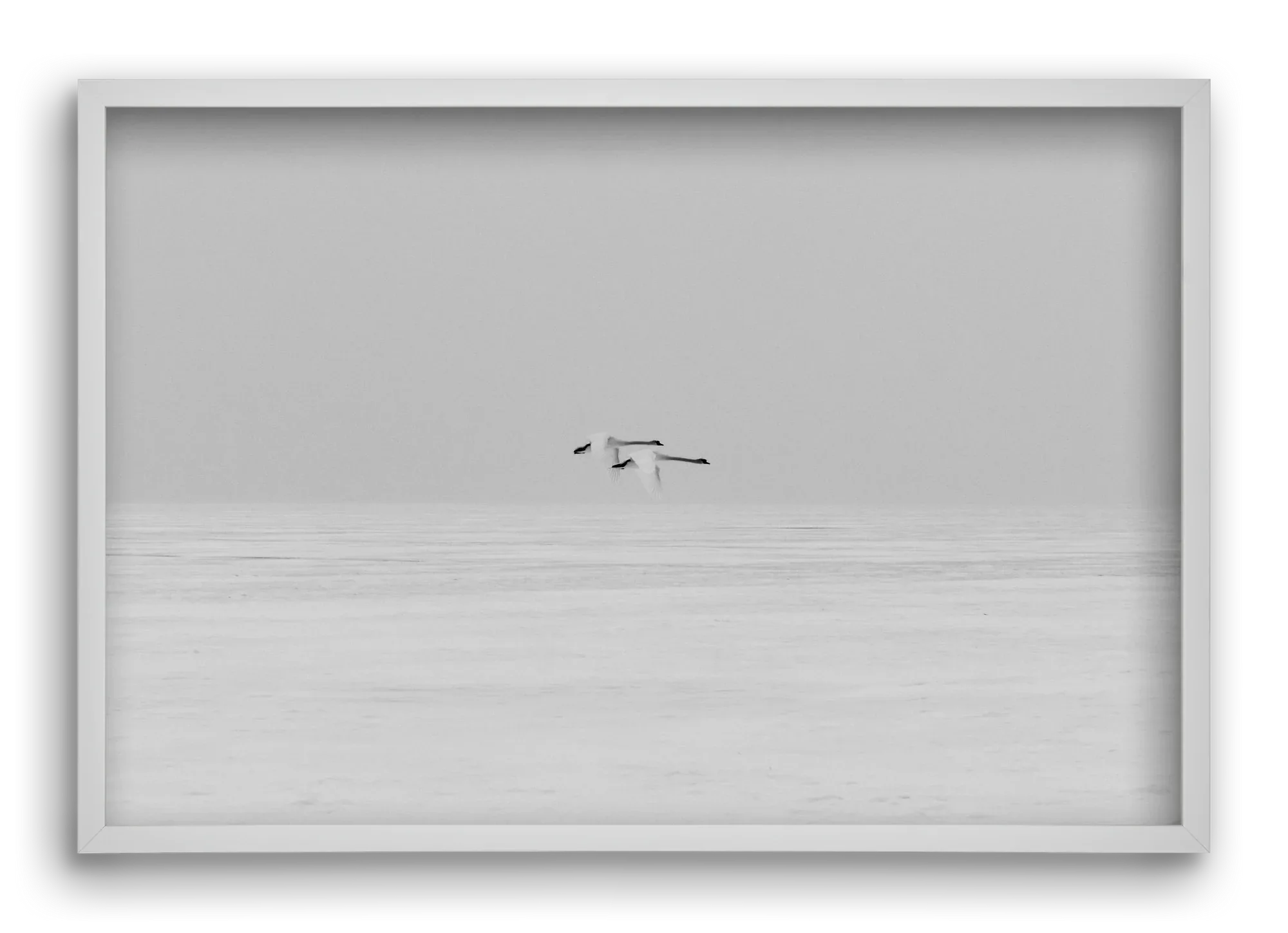 Parallel - artbridge