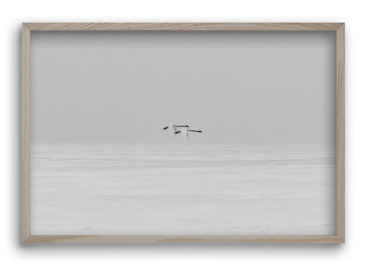 Parallel - artbridge