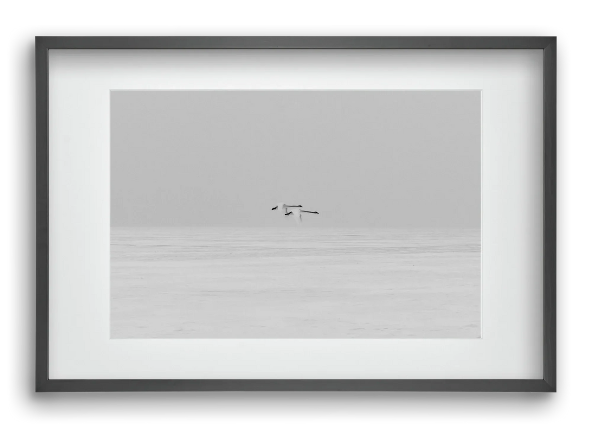 Parallel - artbridge