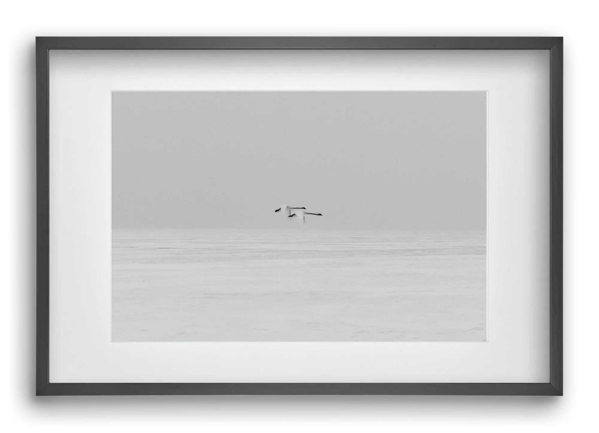 Parallel - artbridge