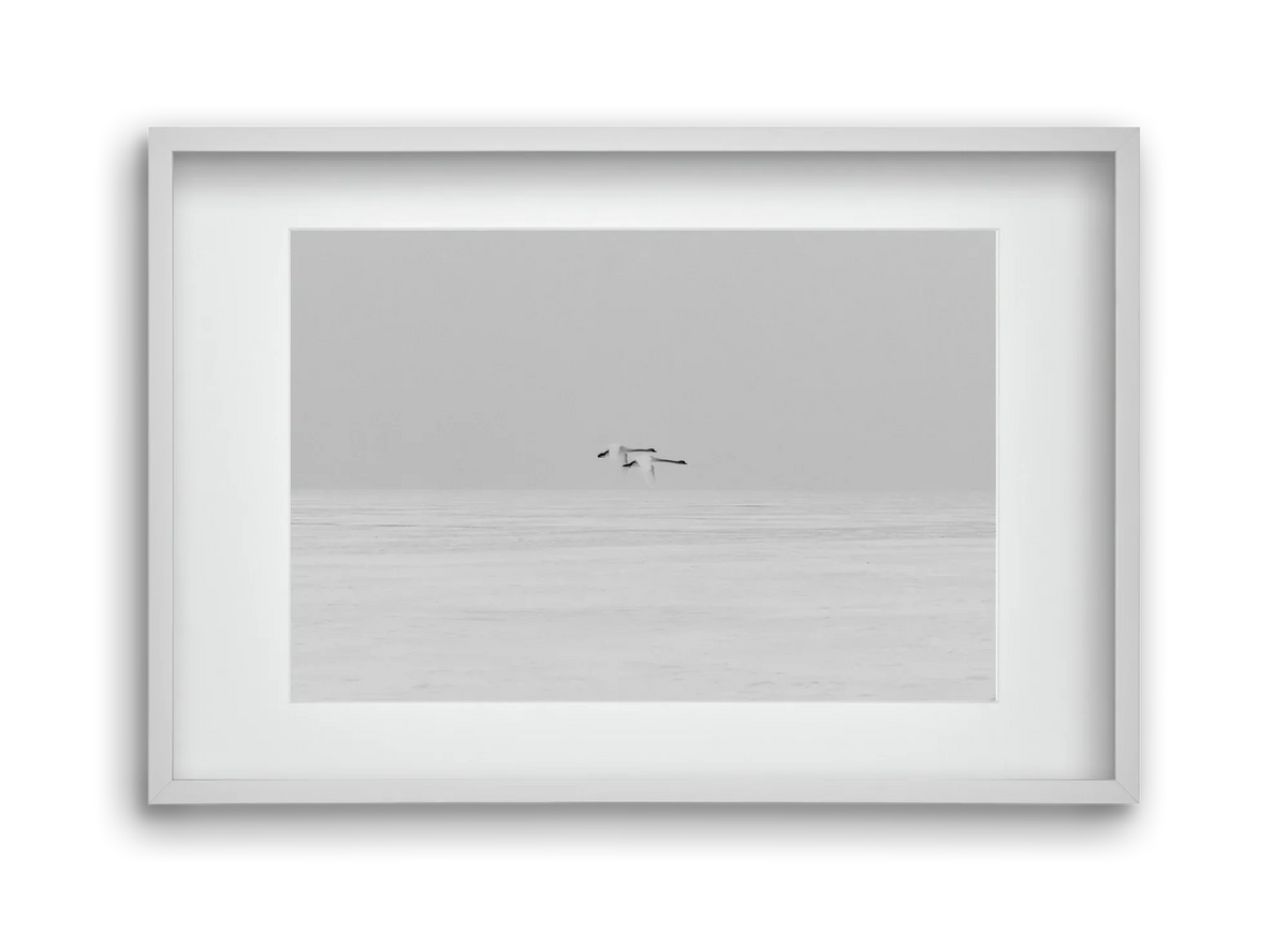 Parallel - artbridge