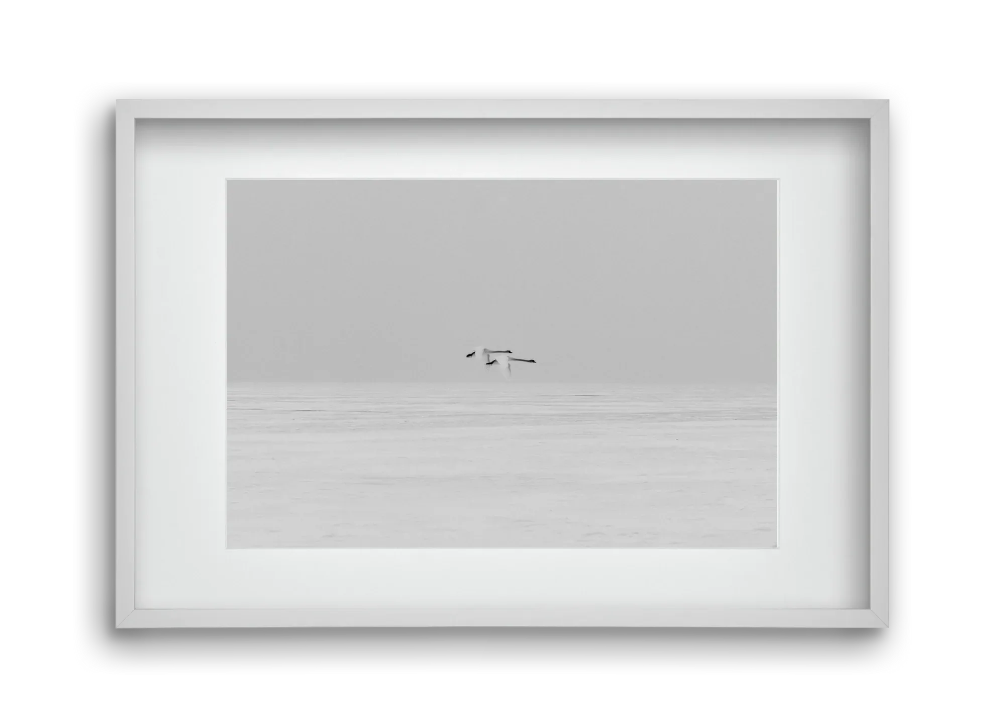 Parallel - artbridge