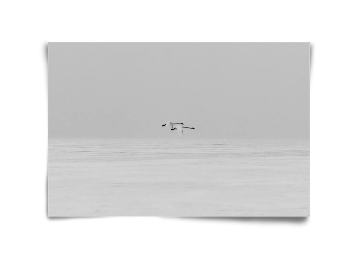 Parallel - artbridge