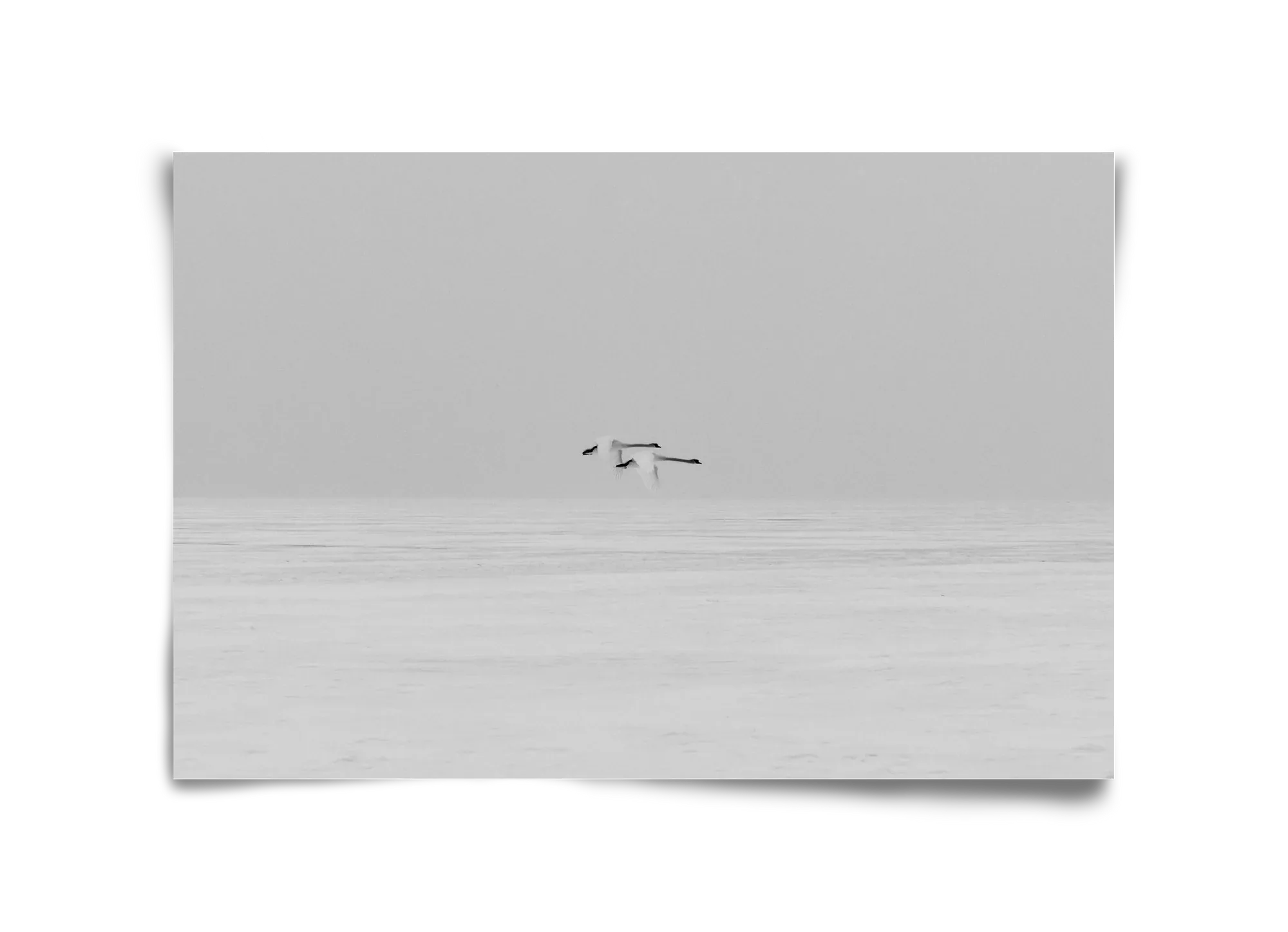 Parallel - artbridge