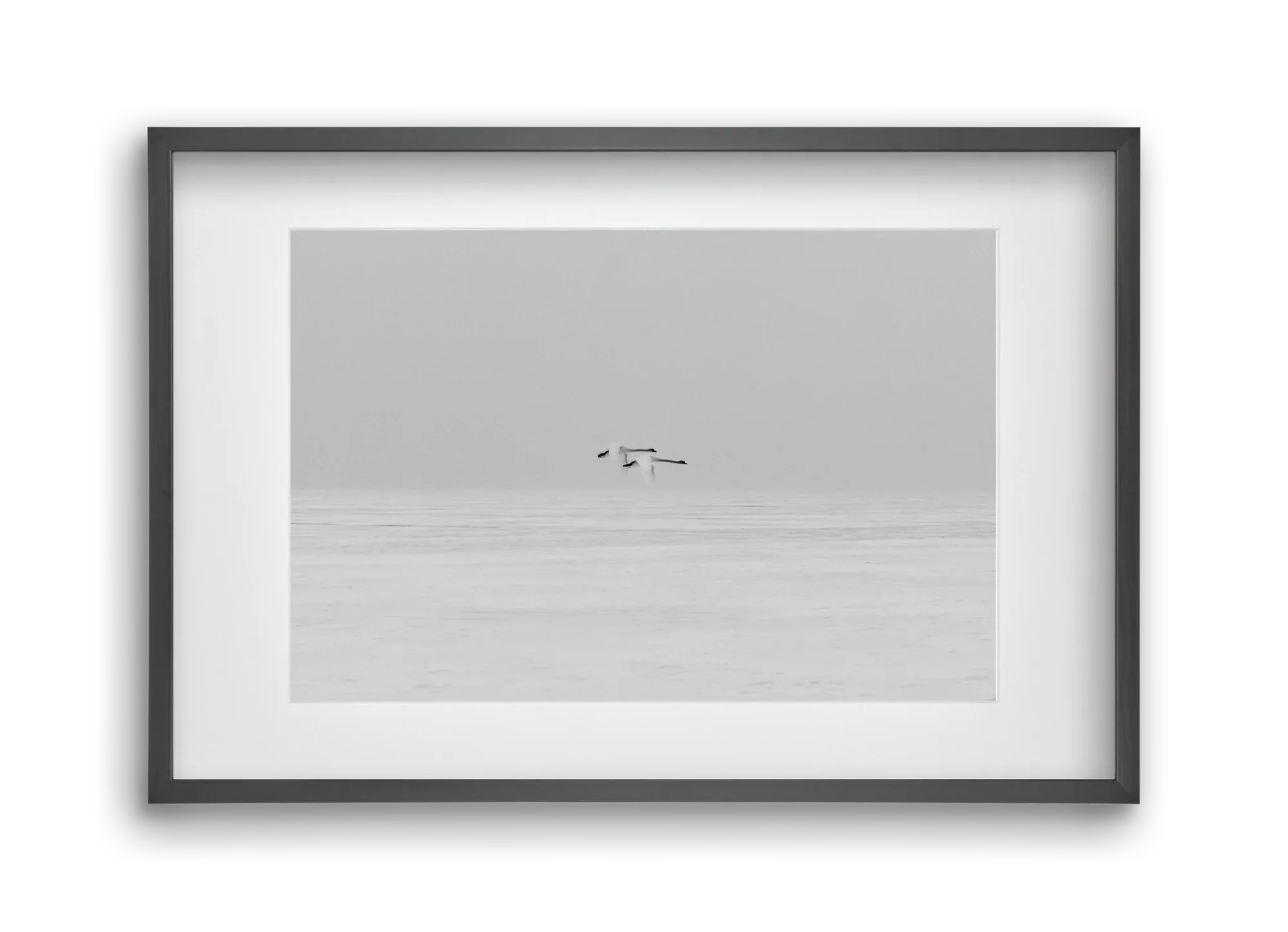 Parallel - artbridge