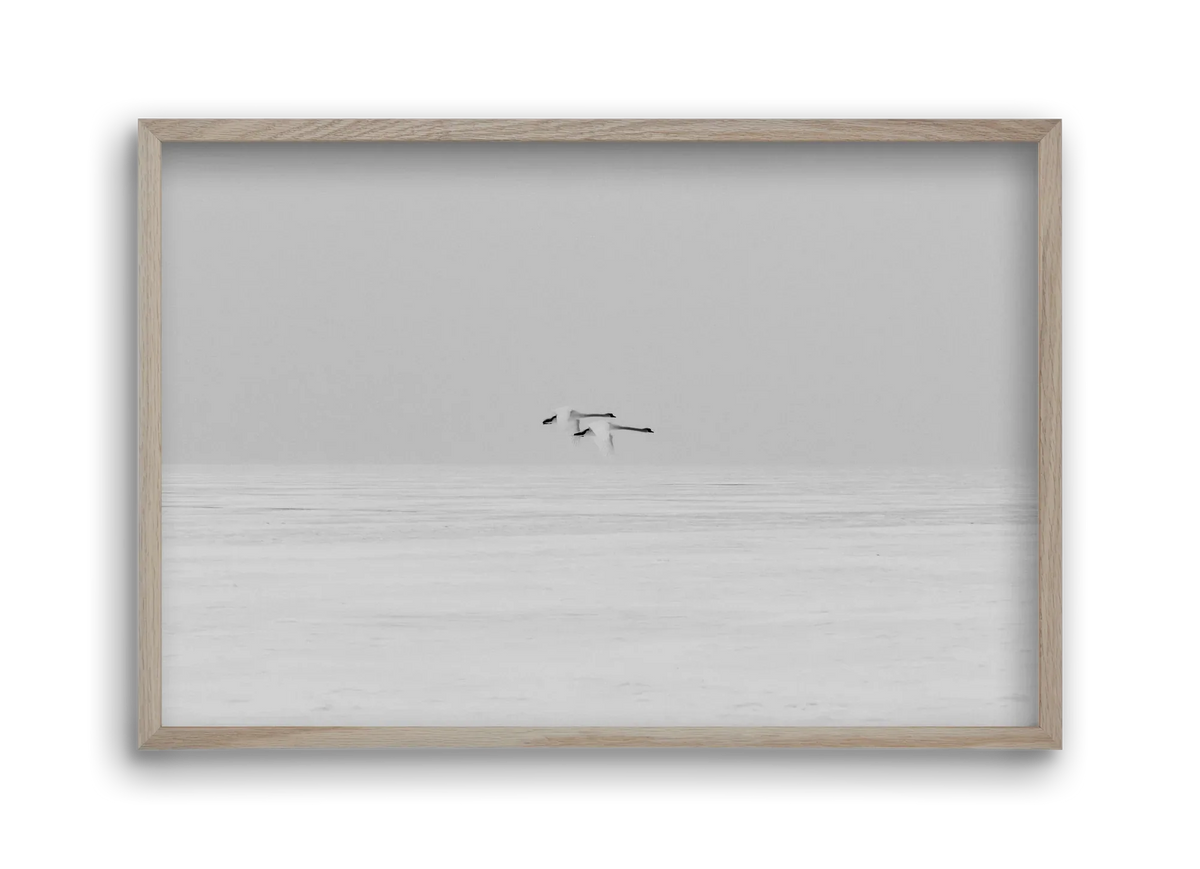 Parallel - artbridge