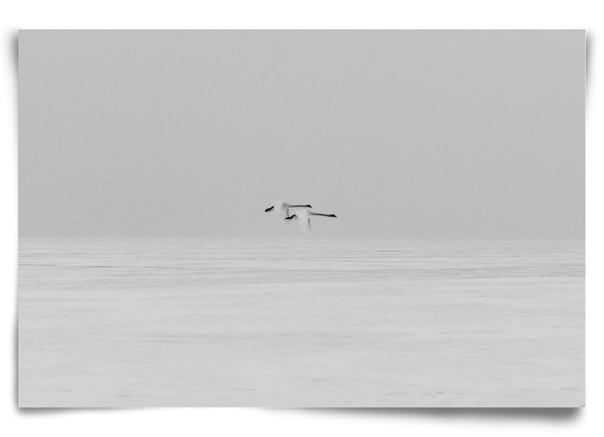 Parallel - artbridge