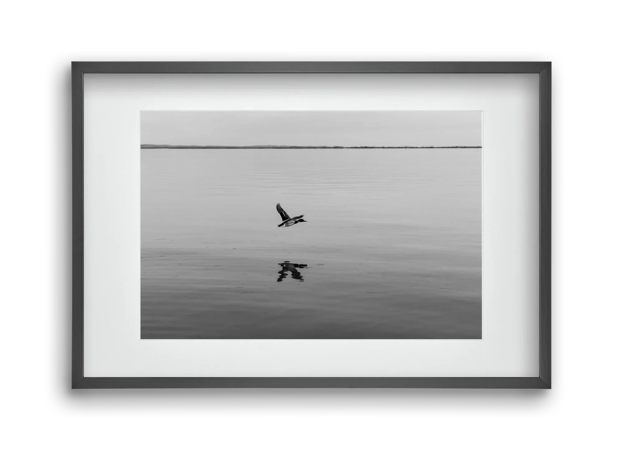 Vertigo - artbridge